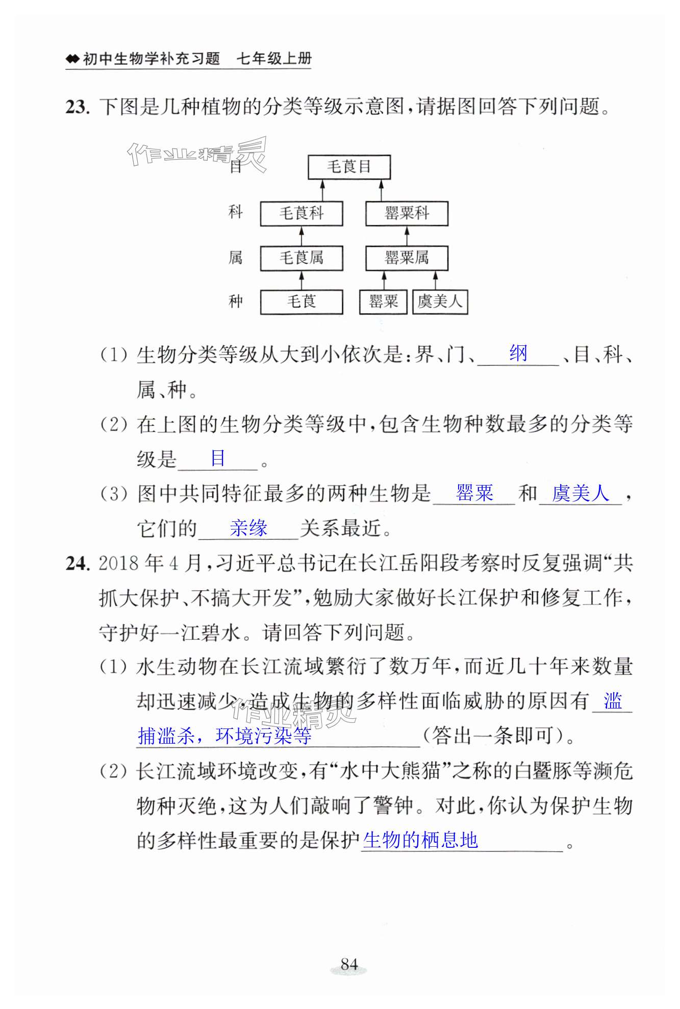 第84页