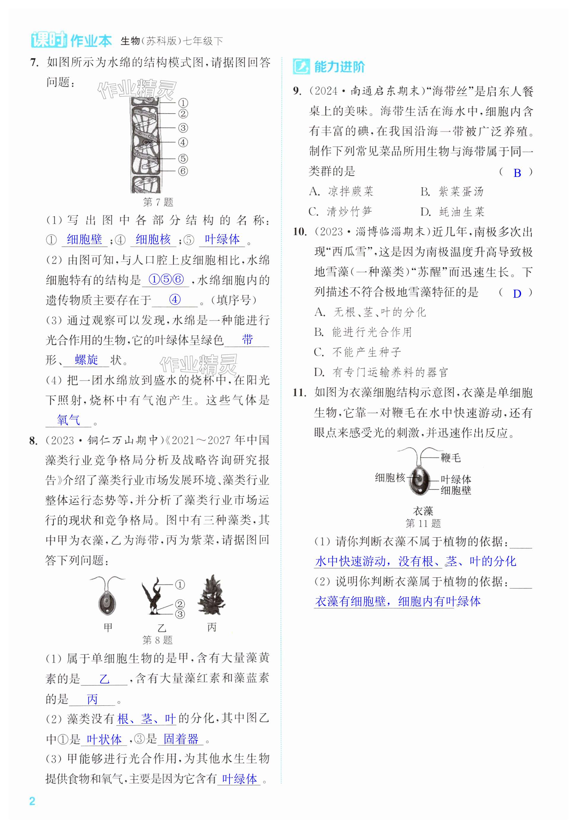 第2页