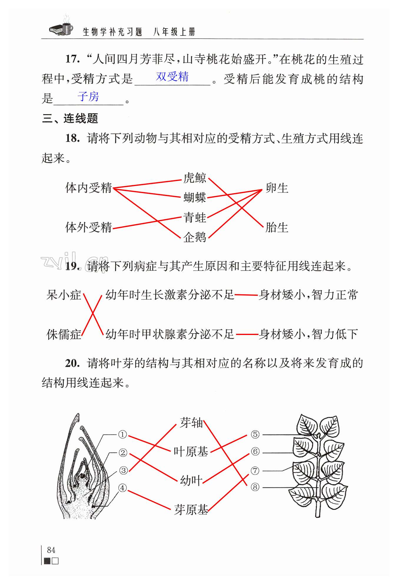 第84页