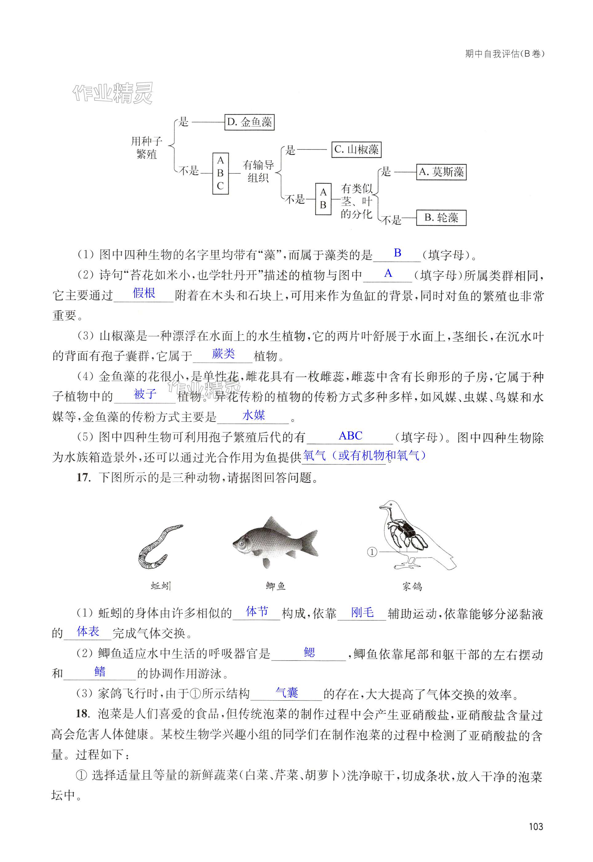 第103页