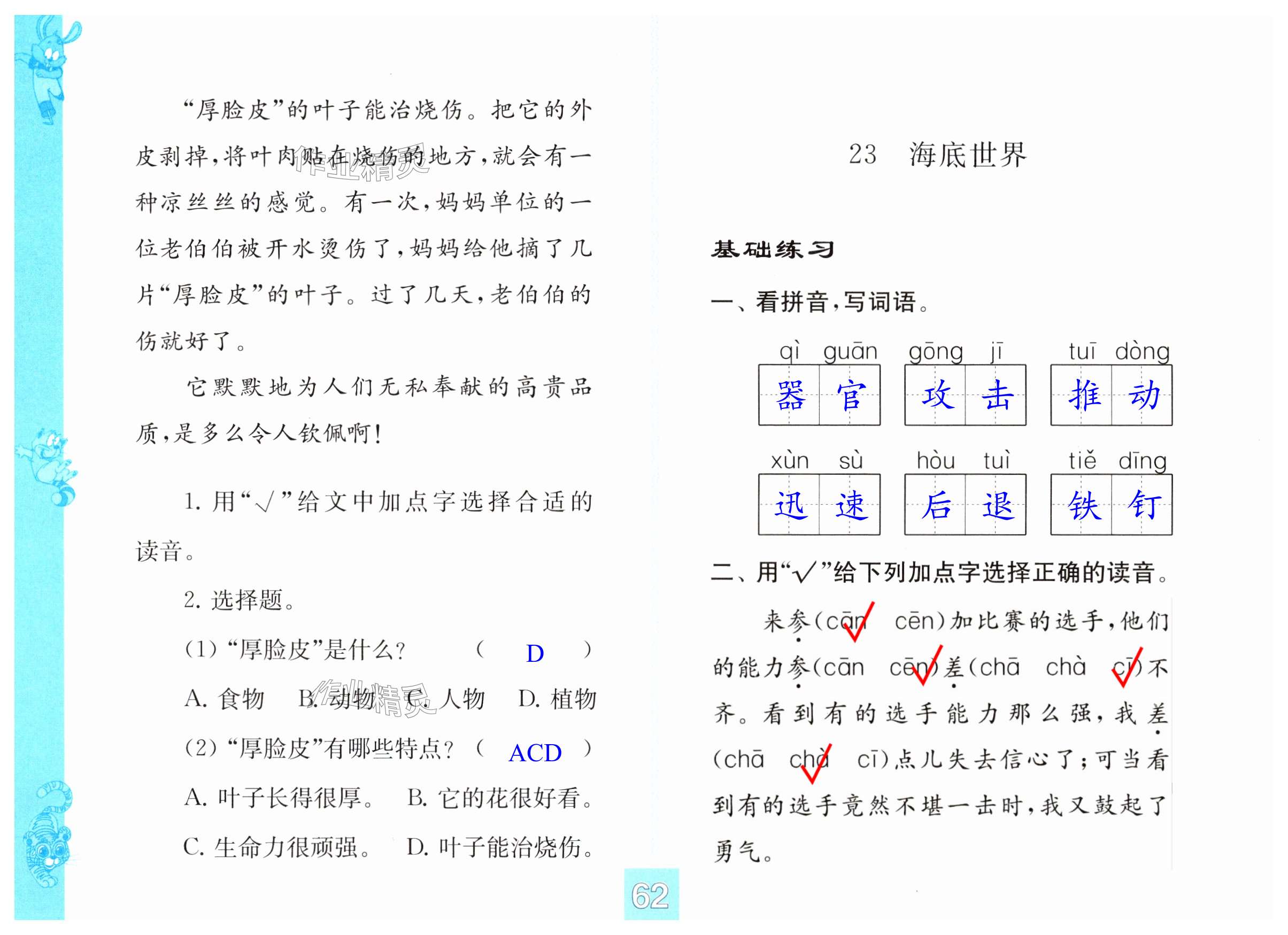 第62页