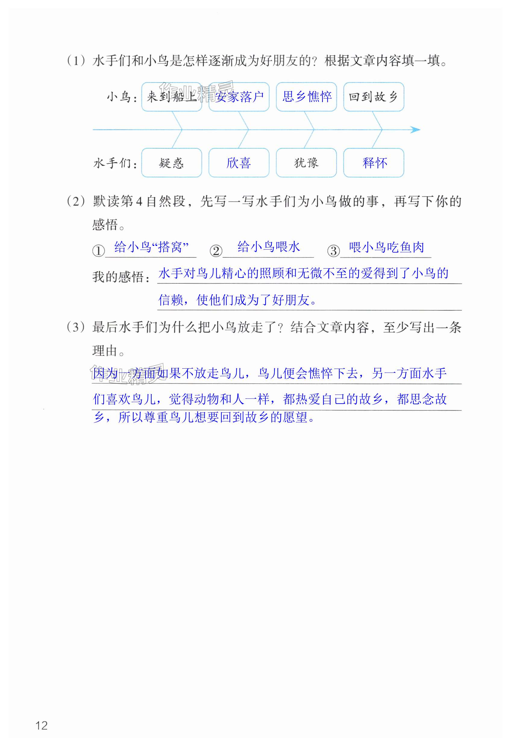 第12页