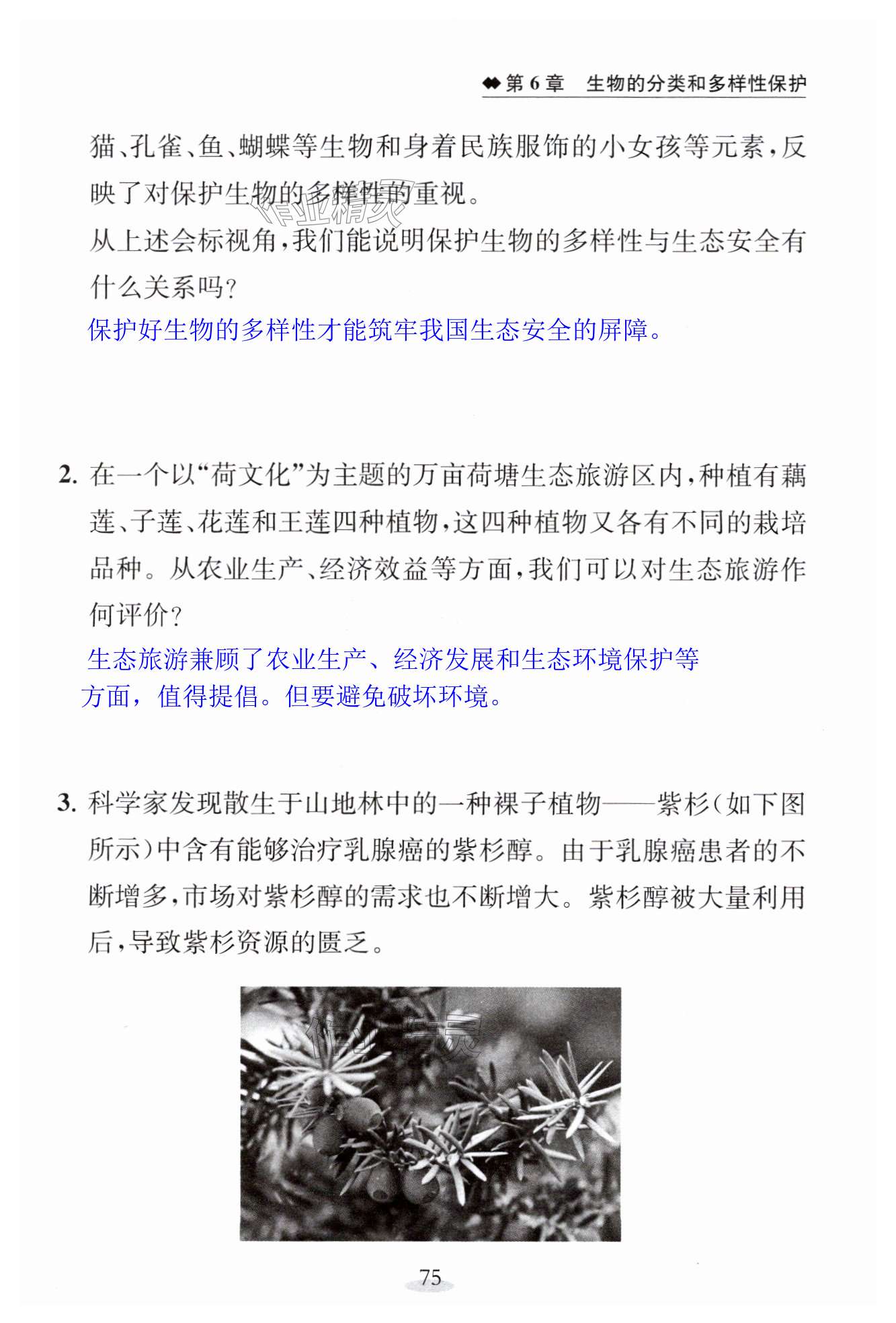 第75页