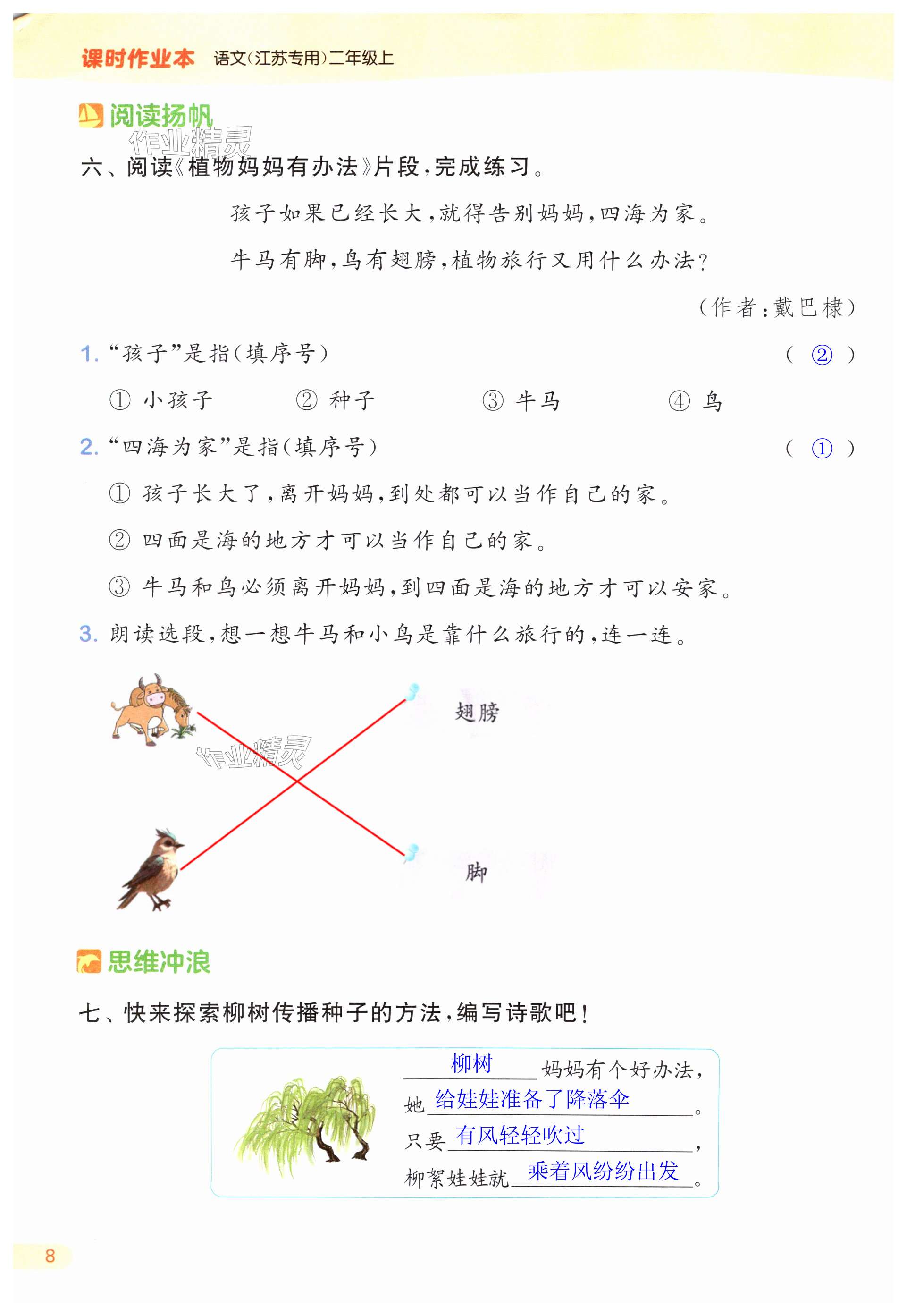 第8页