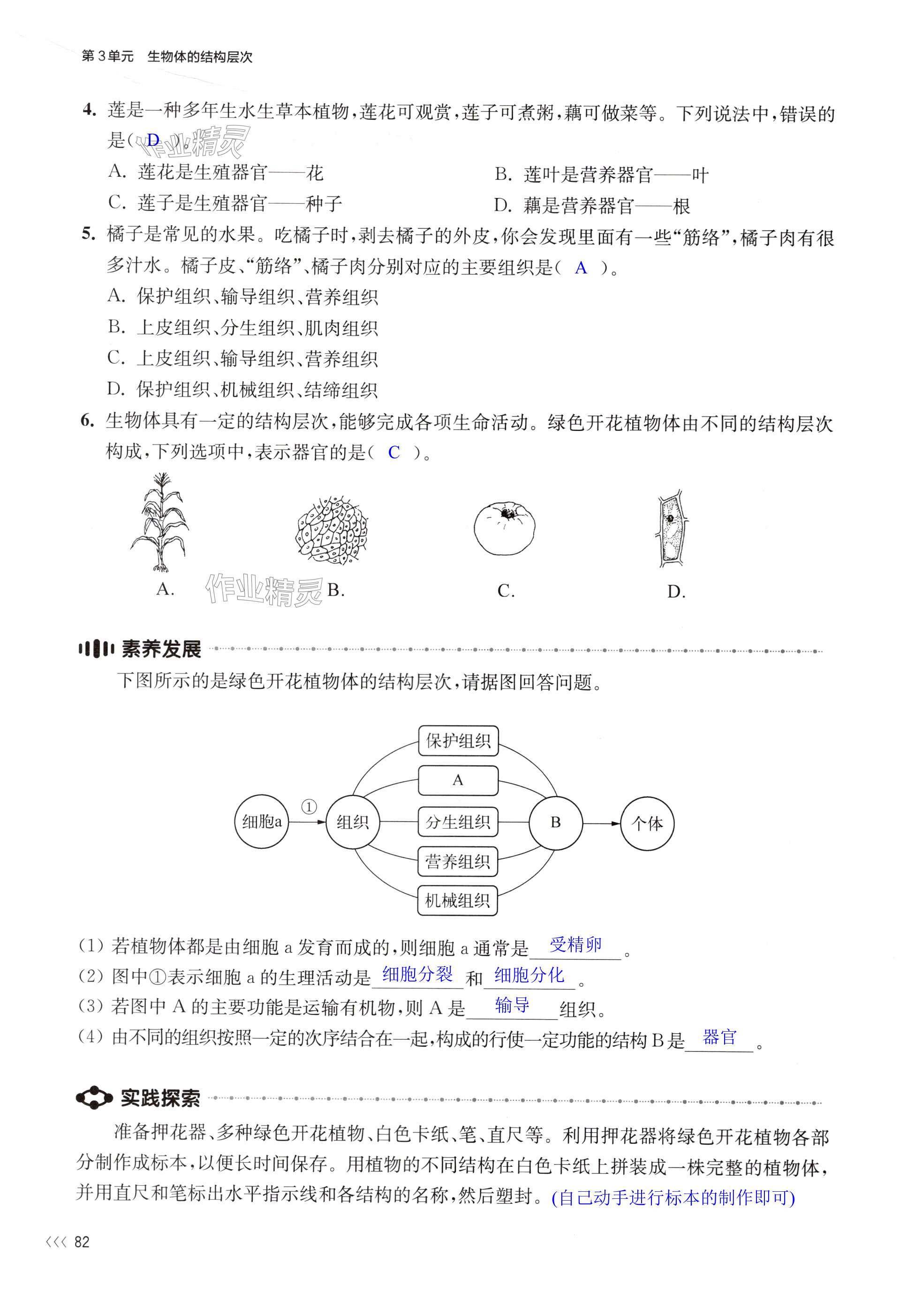 第82页