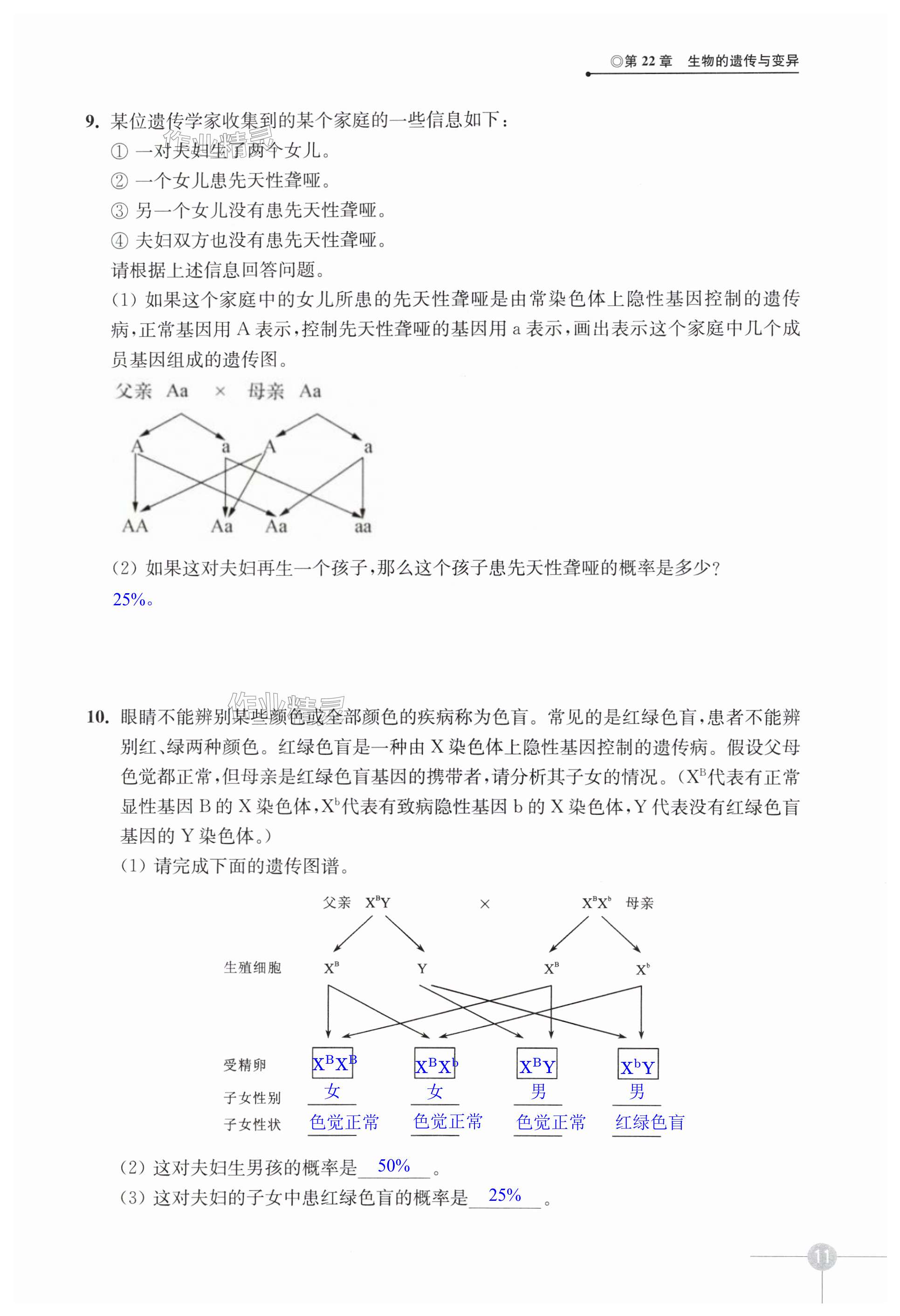 第11页