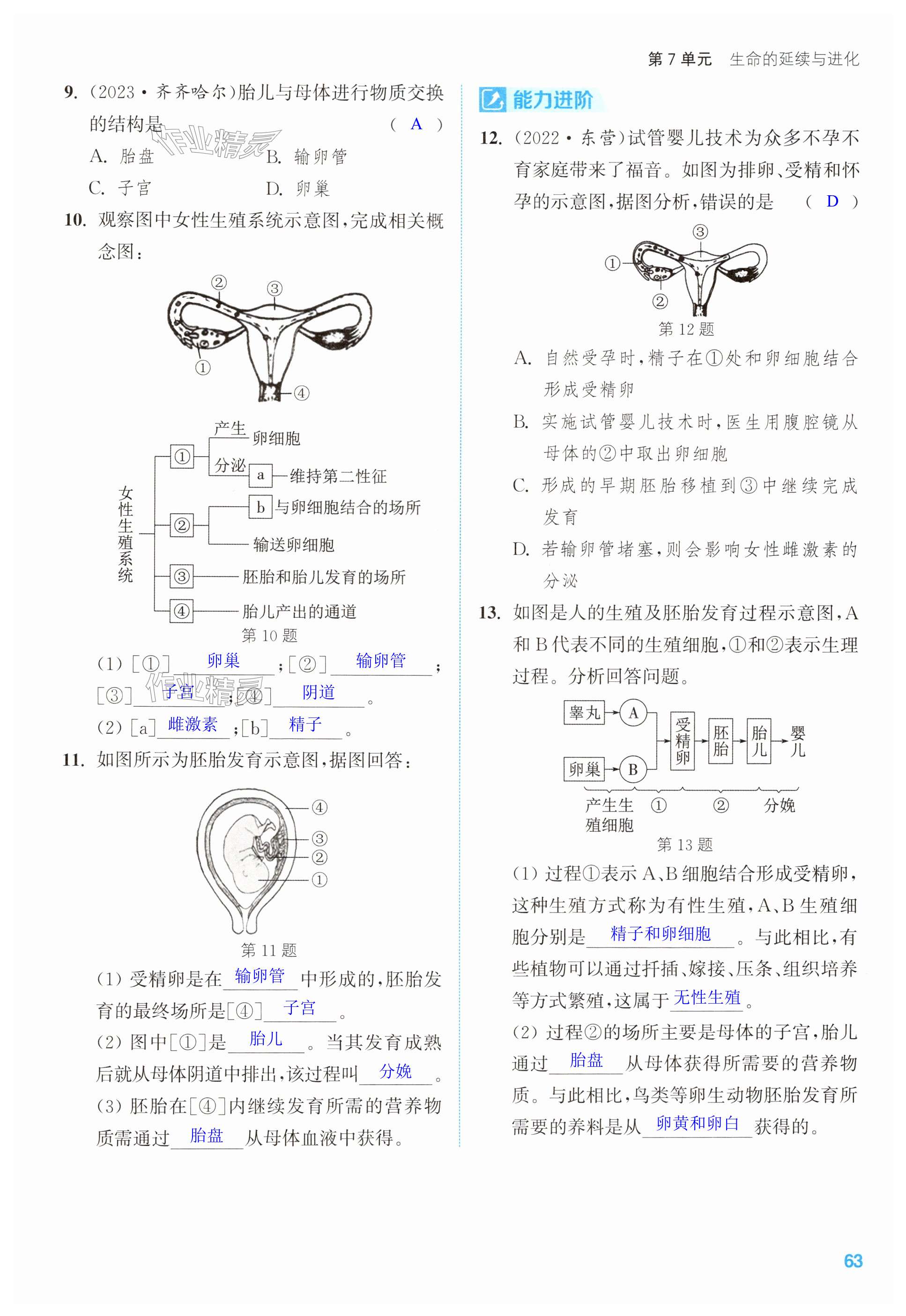 第63页