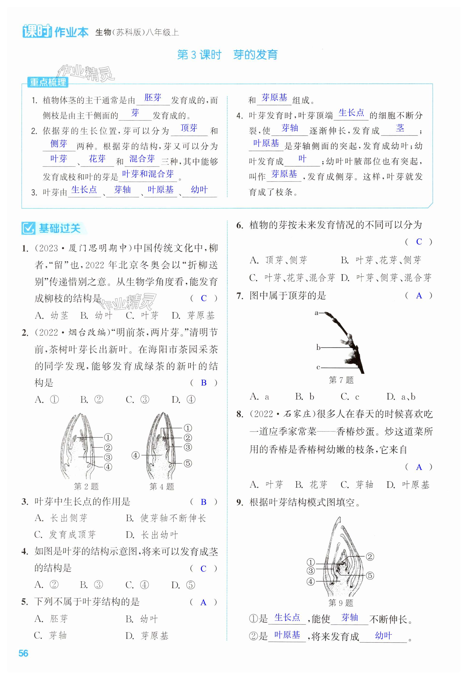 第56页