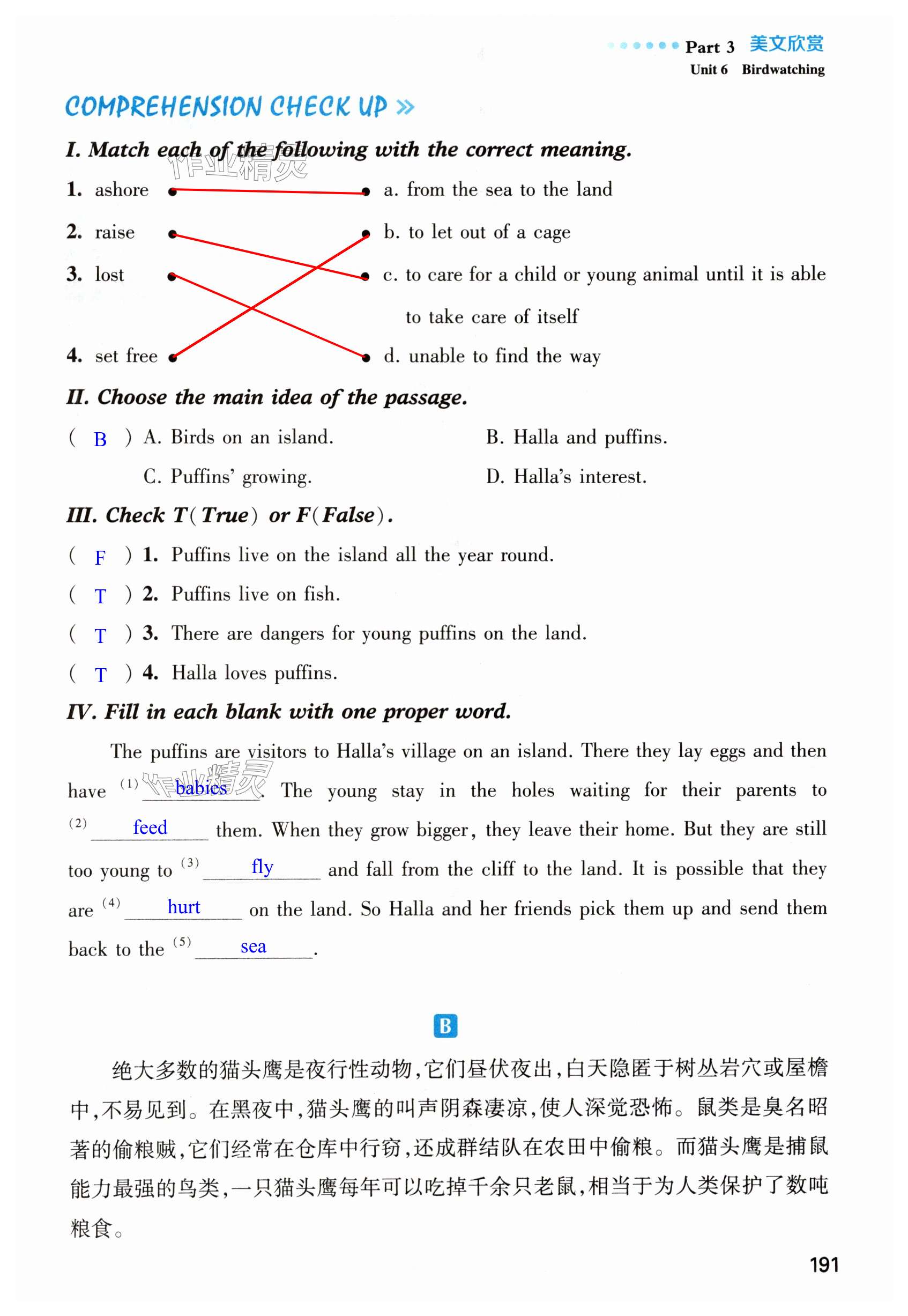 第191页