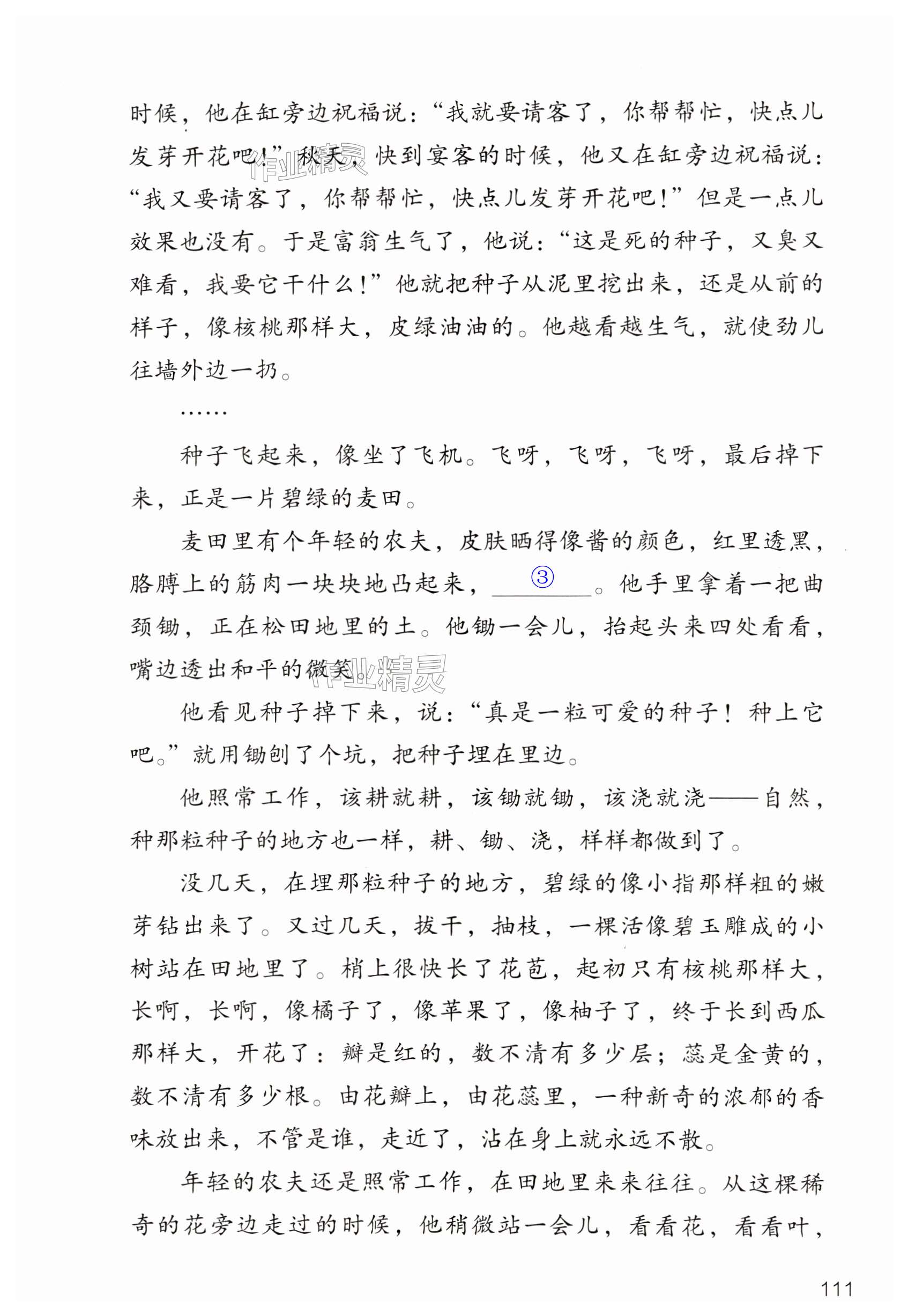 第111页