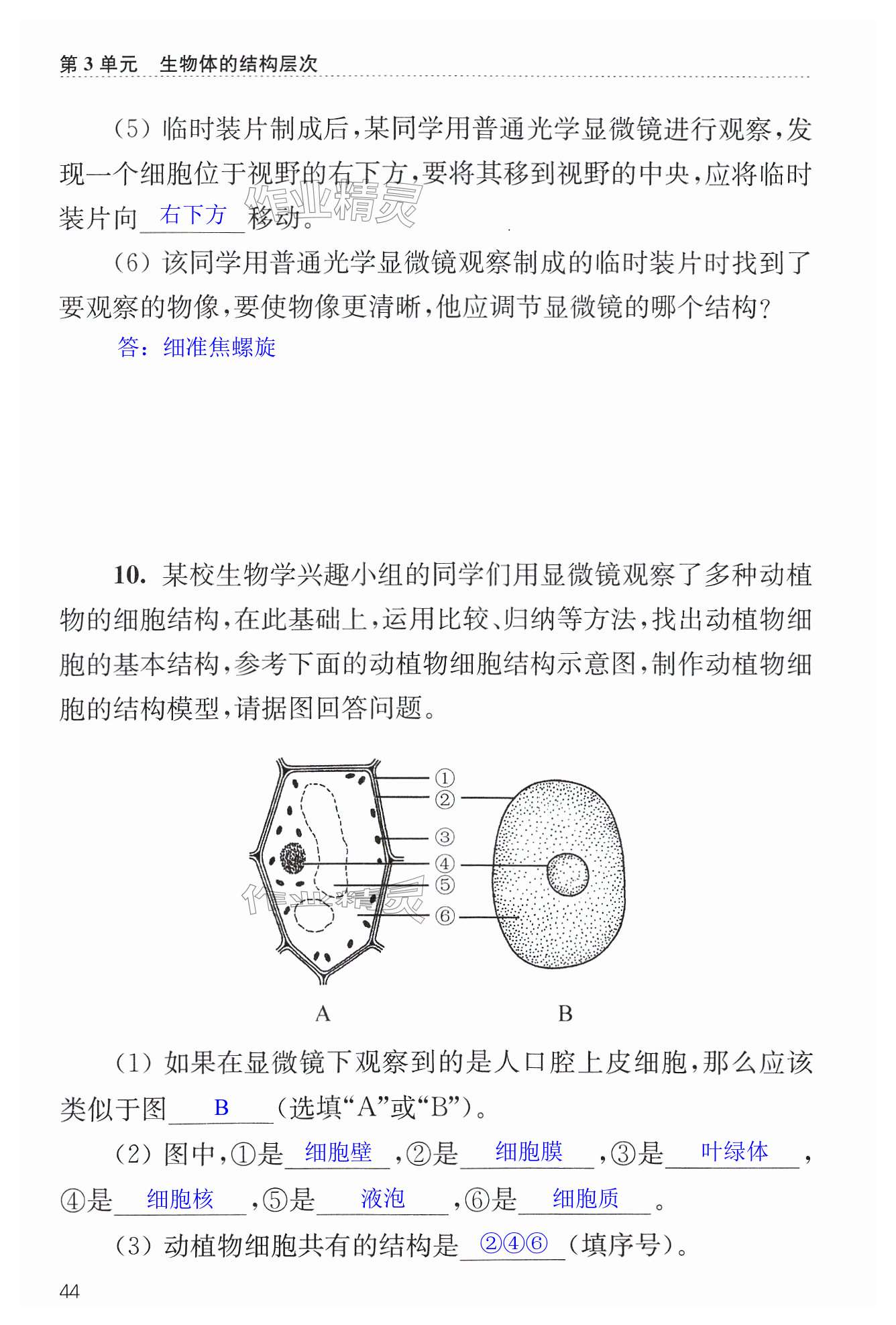 第44页