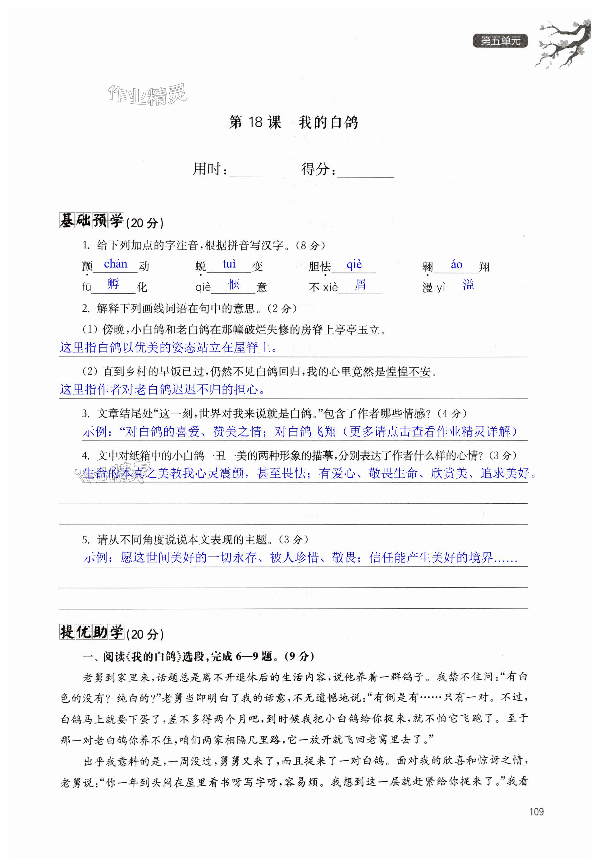 第109页