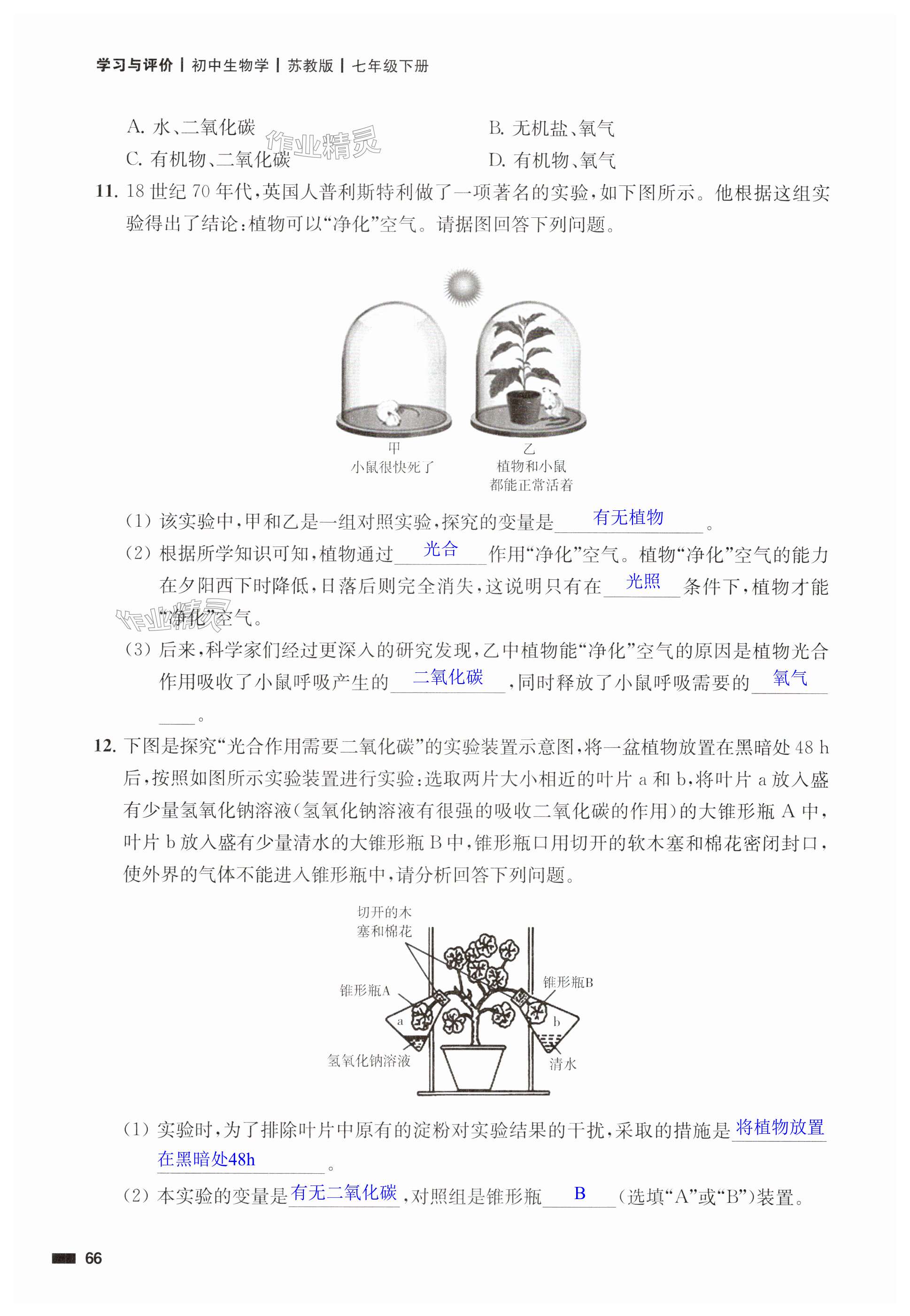 第66页