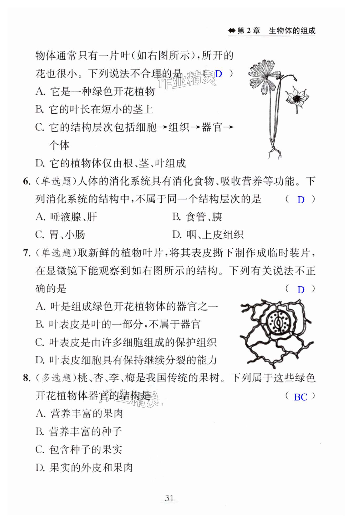 第31页