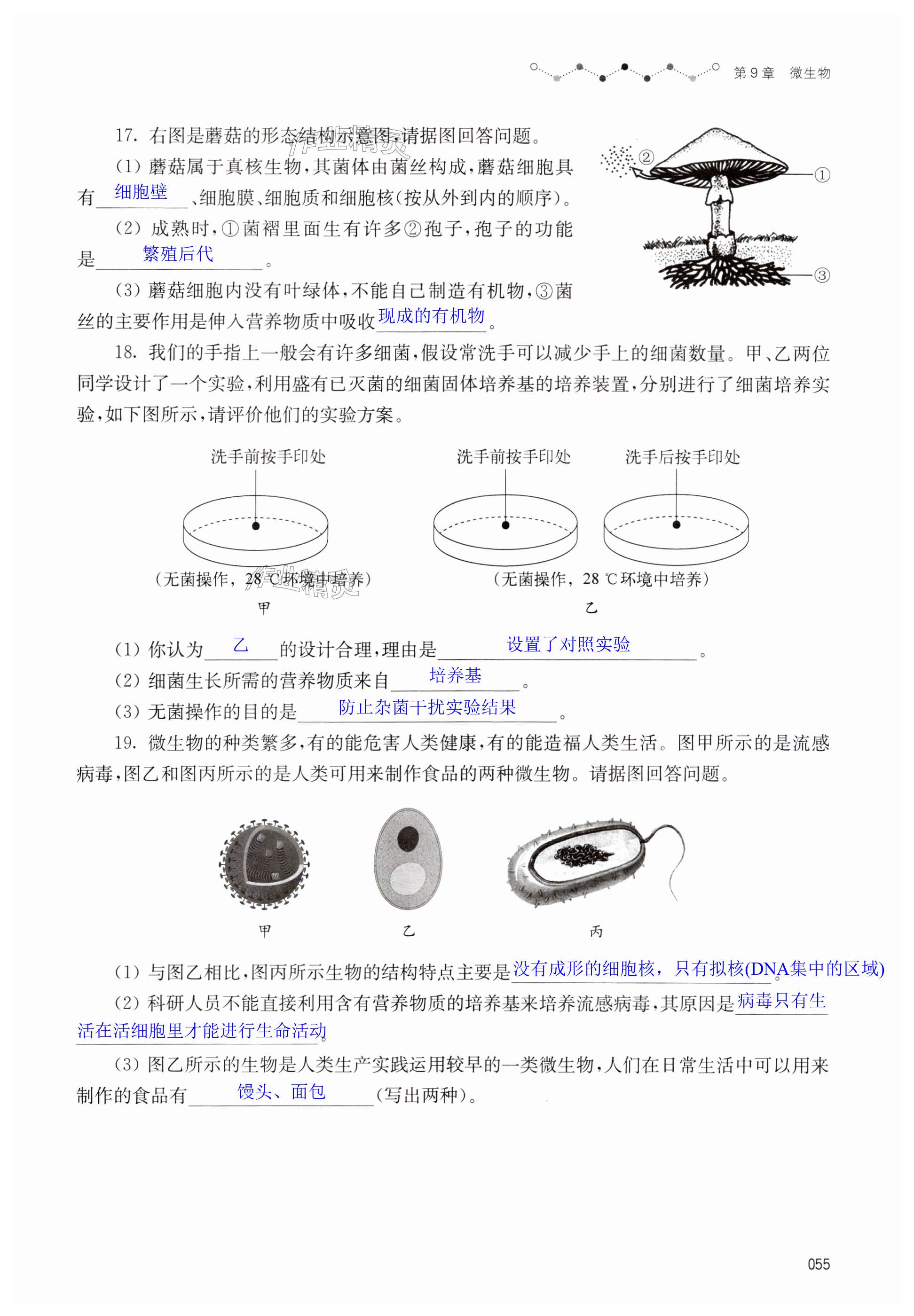 第55页