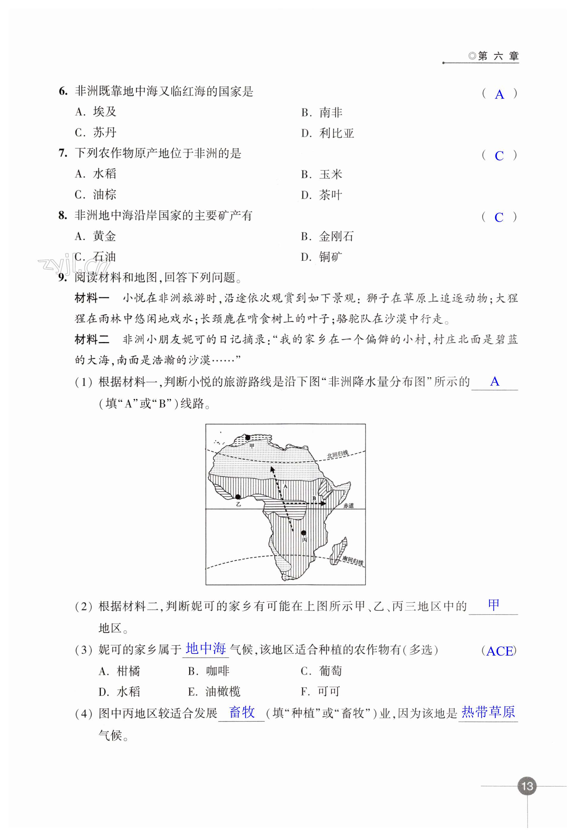 第13页