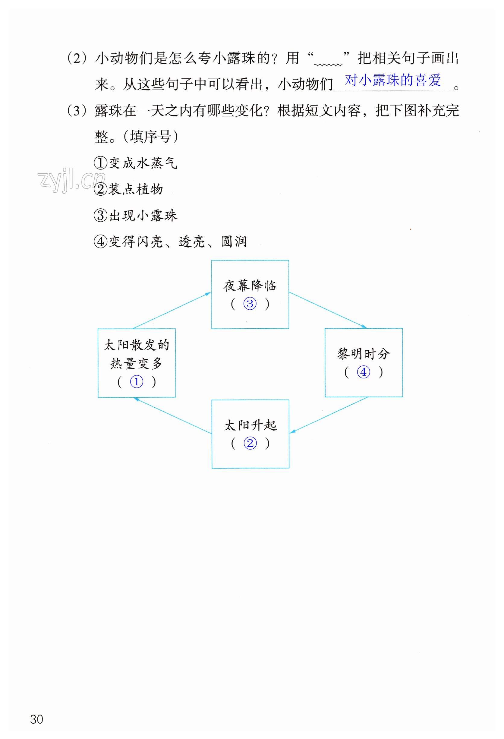 第30页