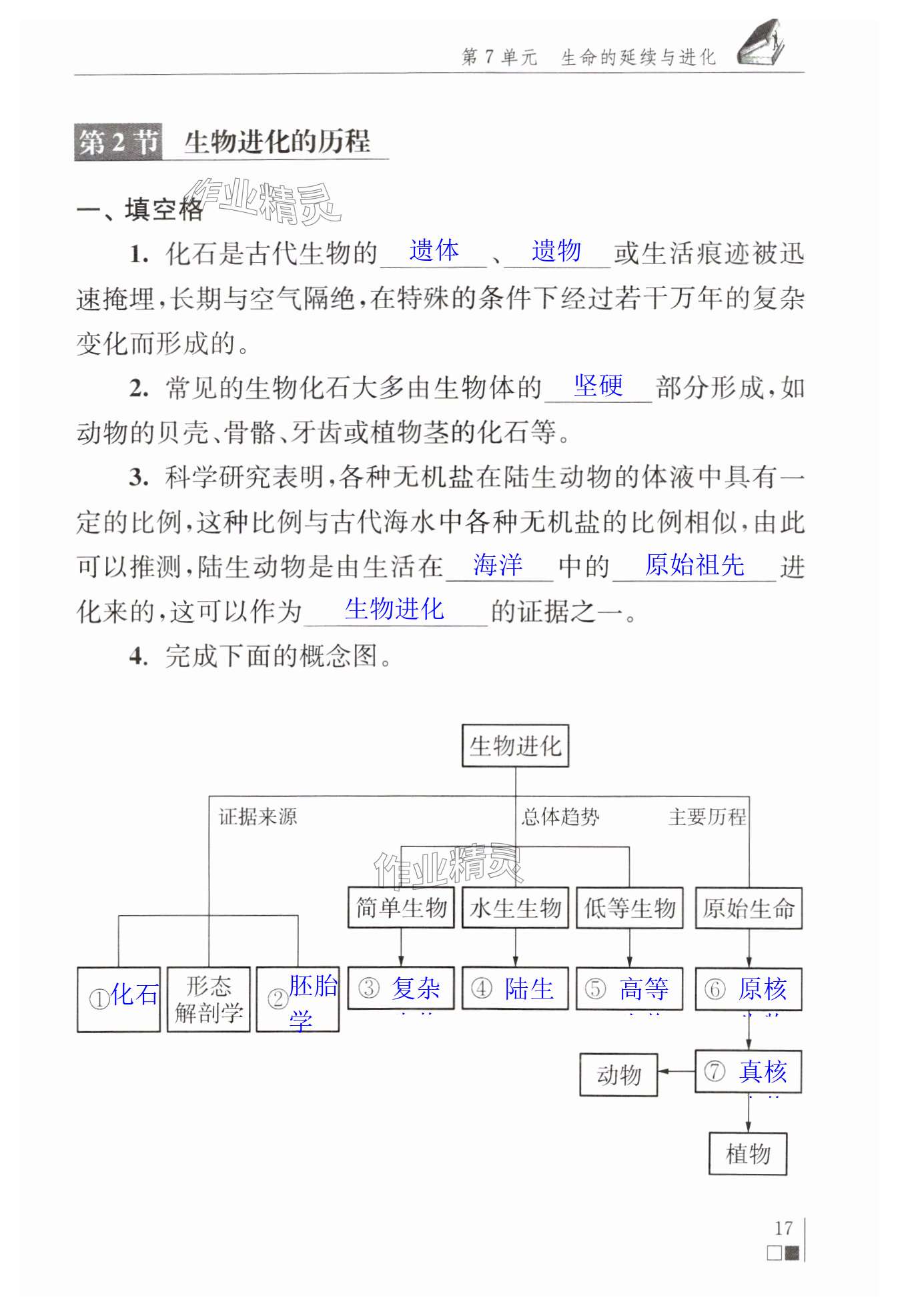 第17页