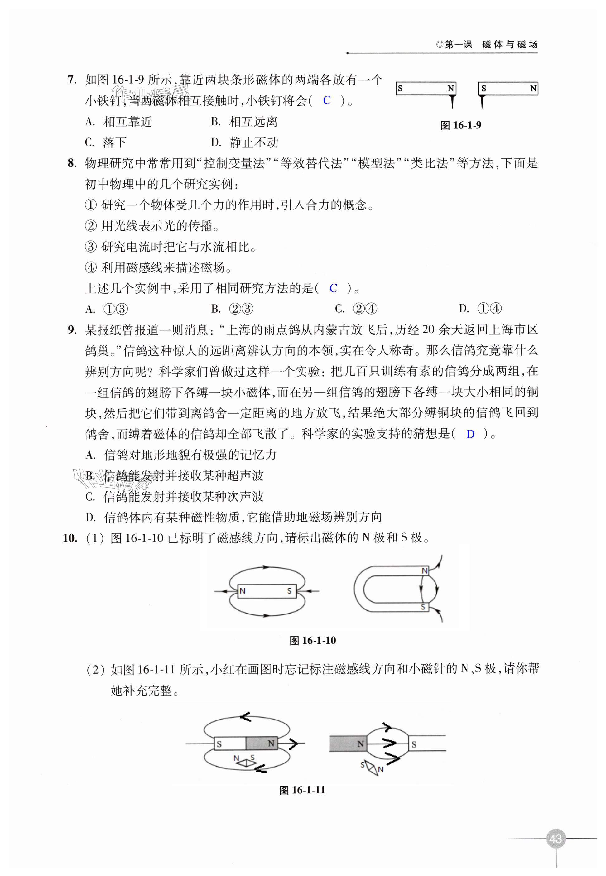 第43页