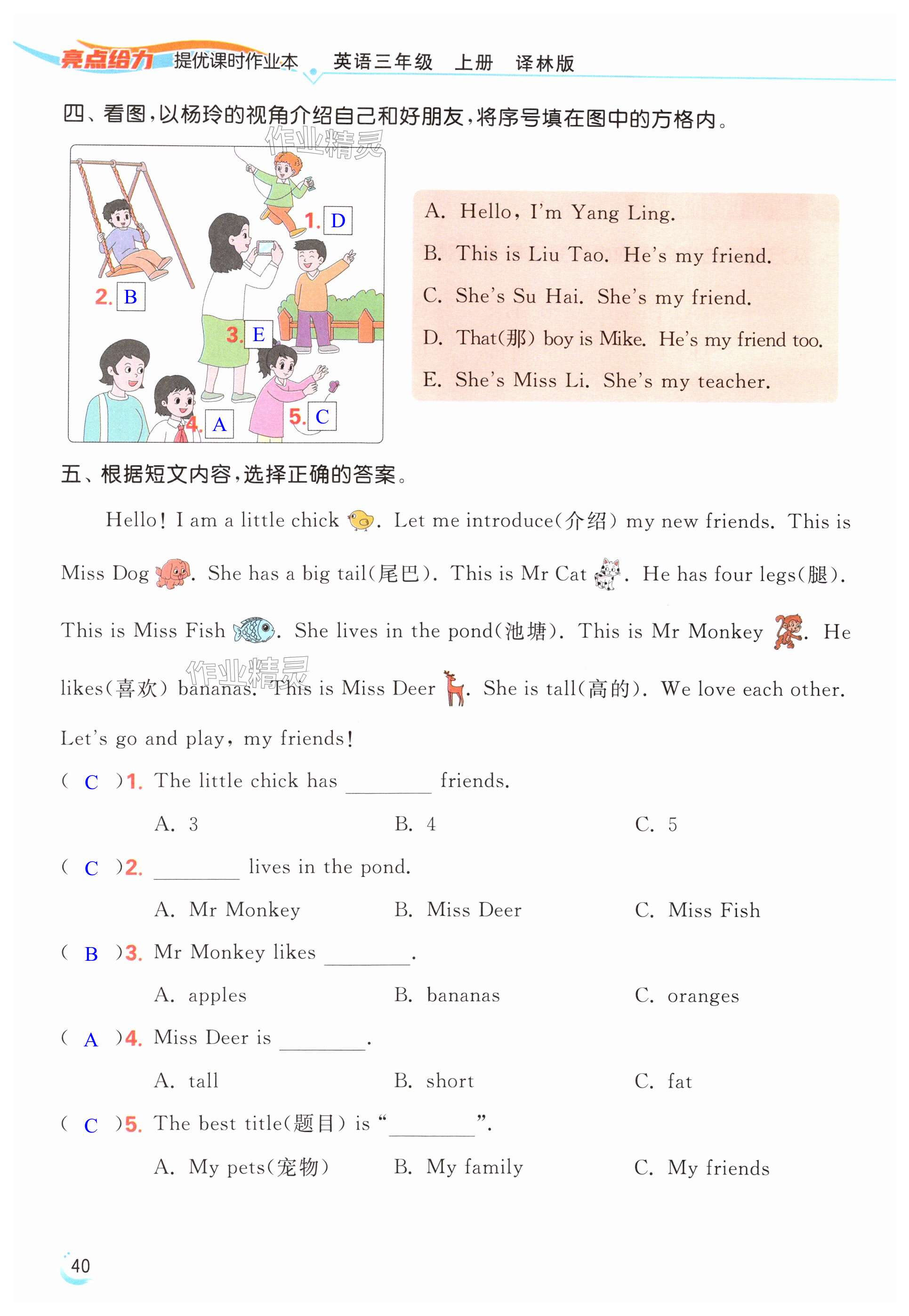 第40页