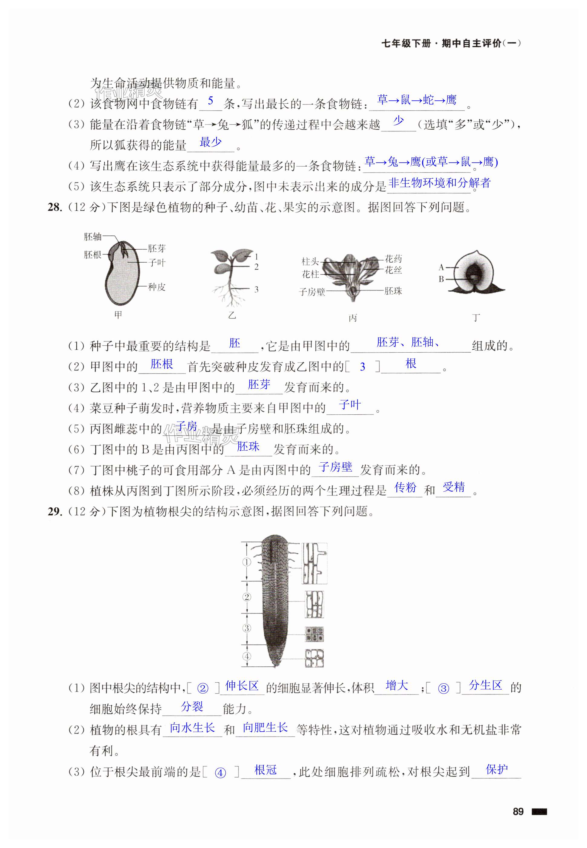 第89页