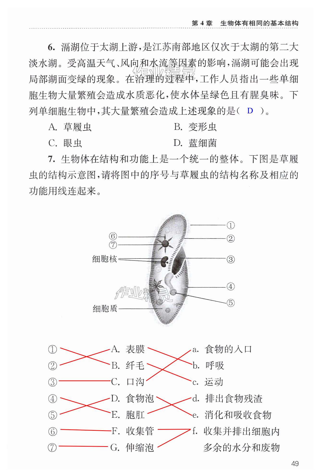 第49页