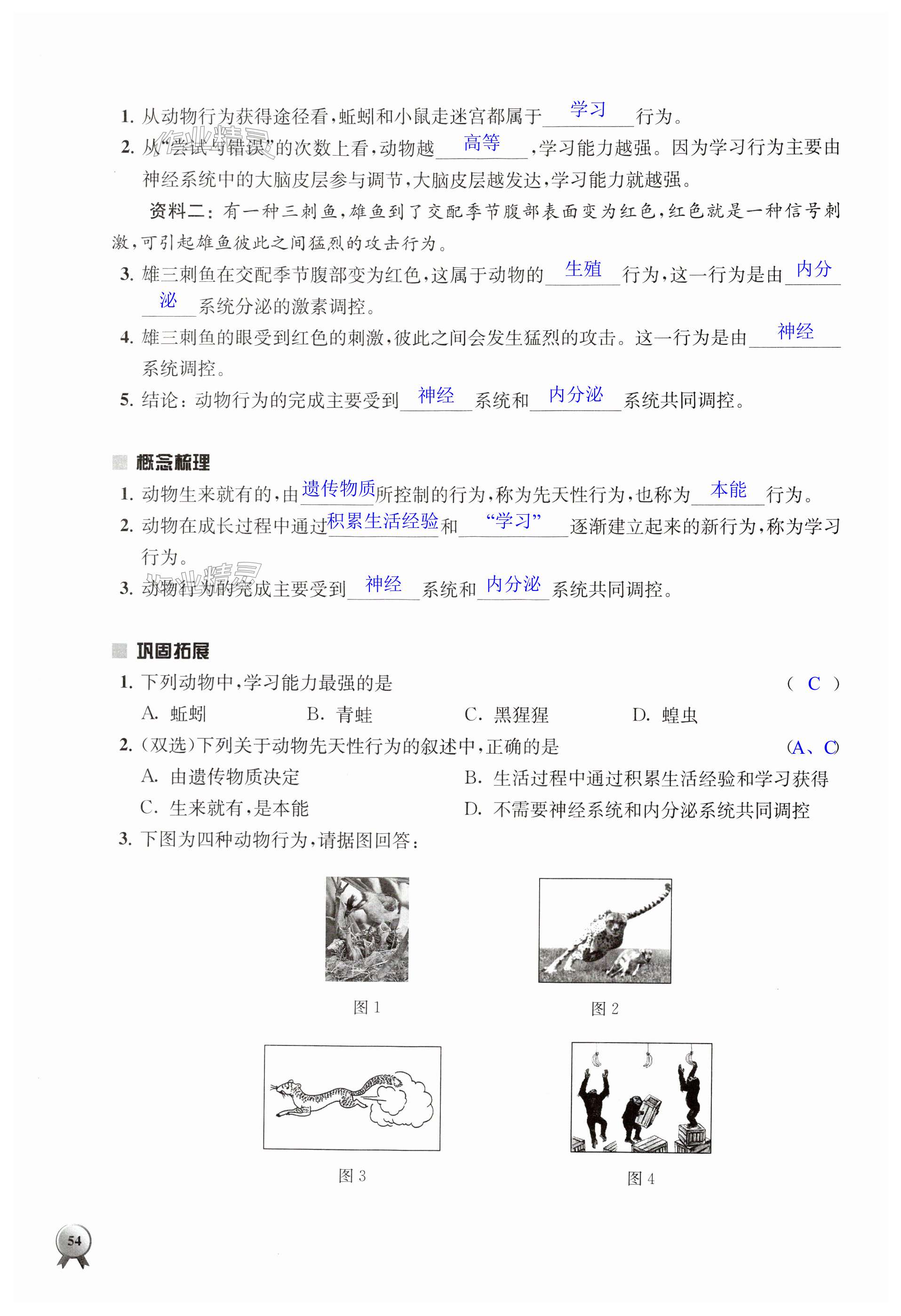 第54页