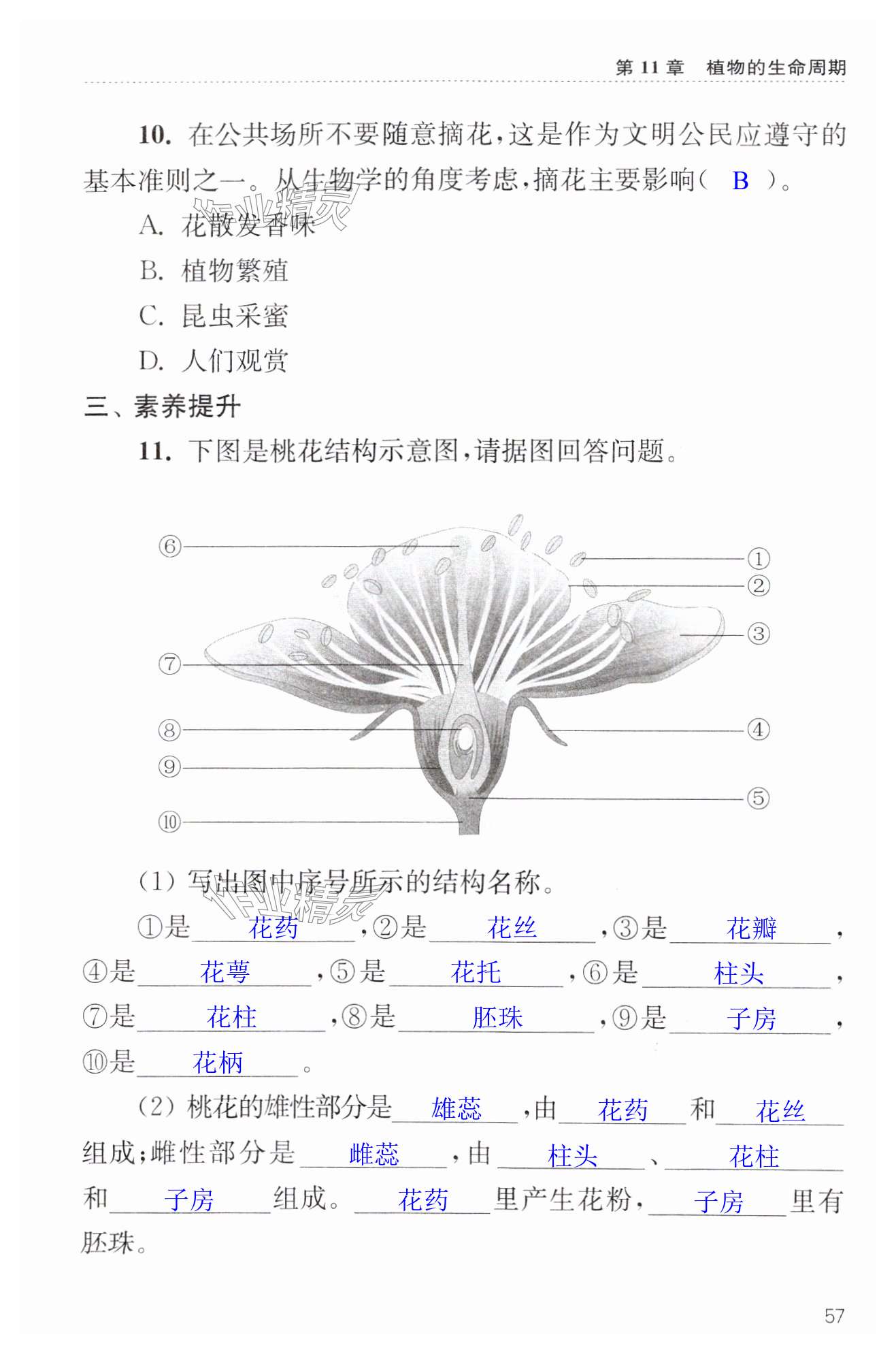 第57页