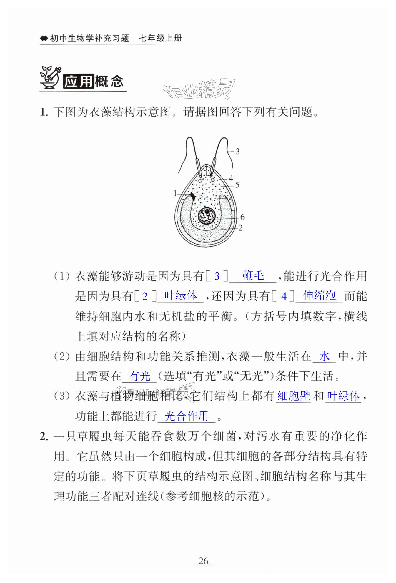 第26页