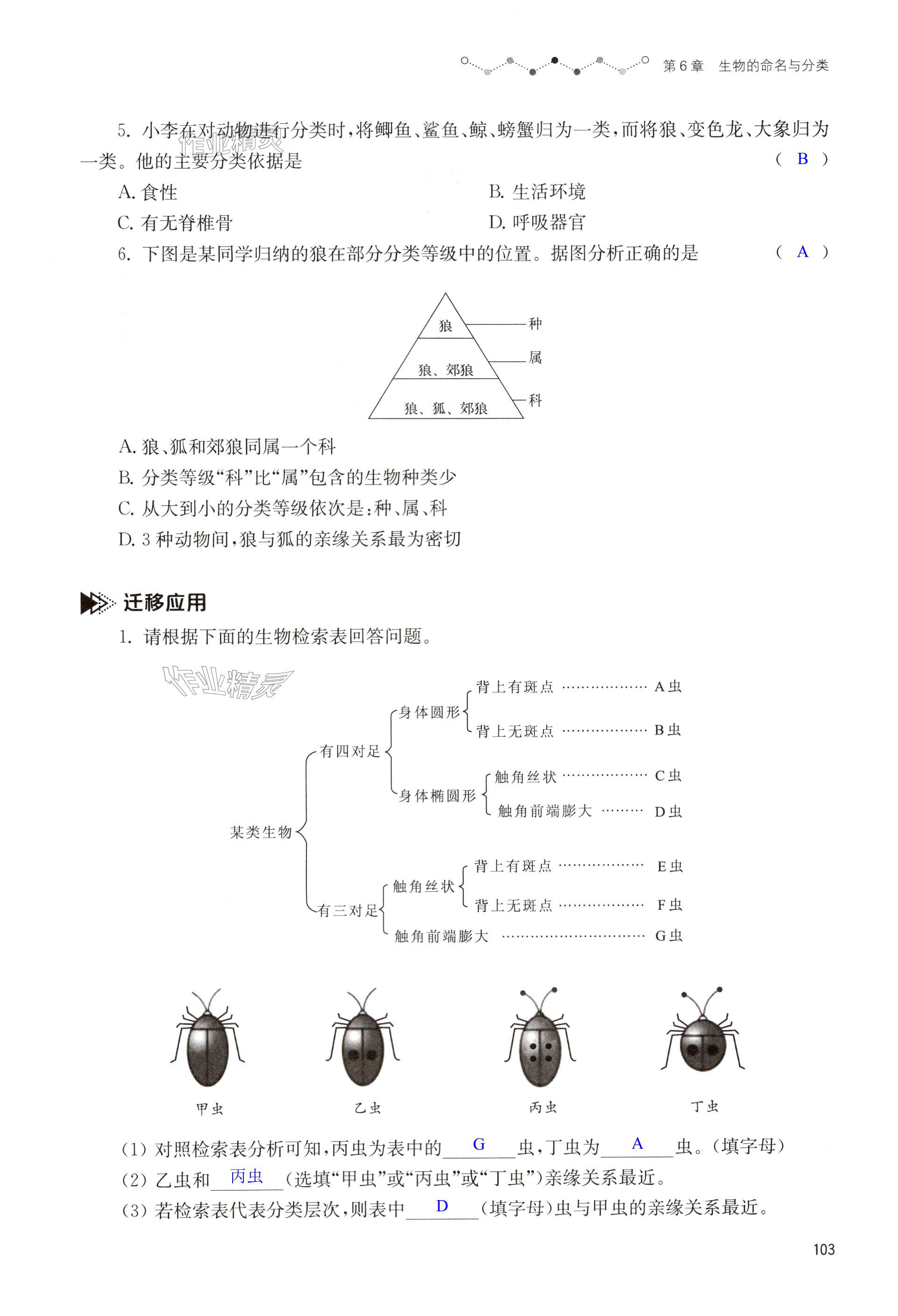 第103页