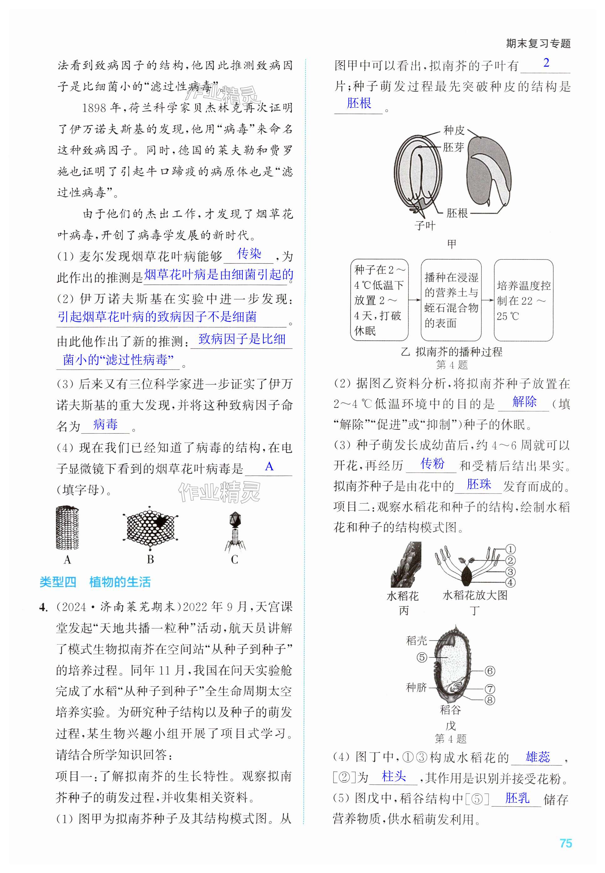 第75页