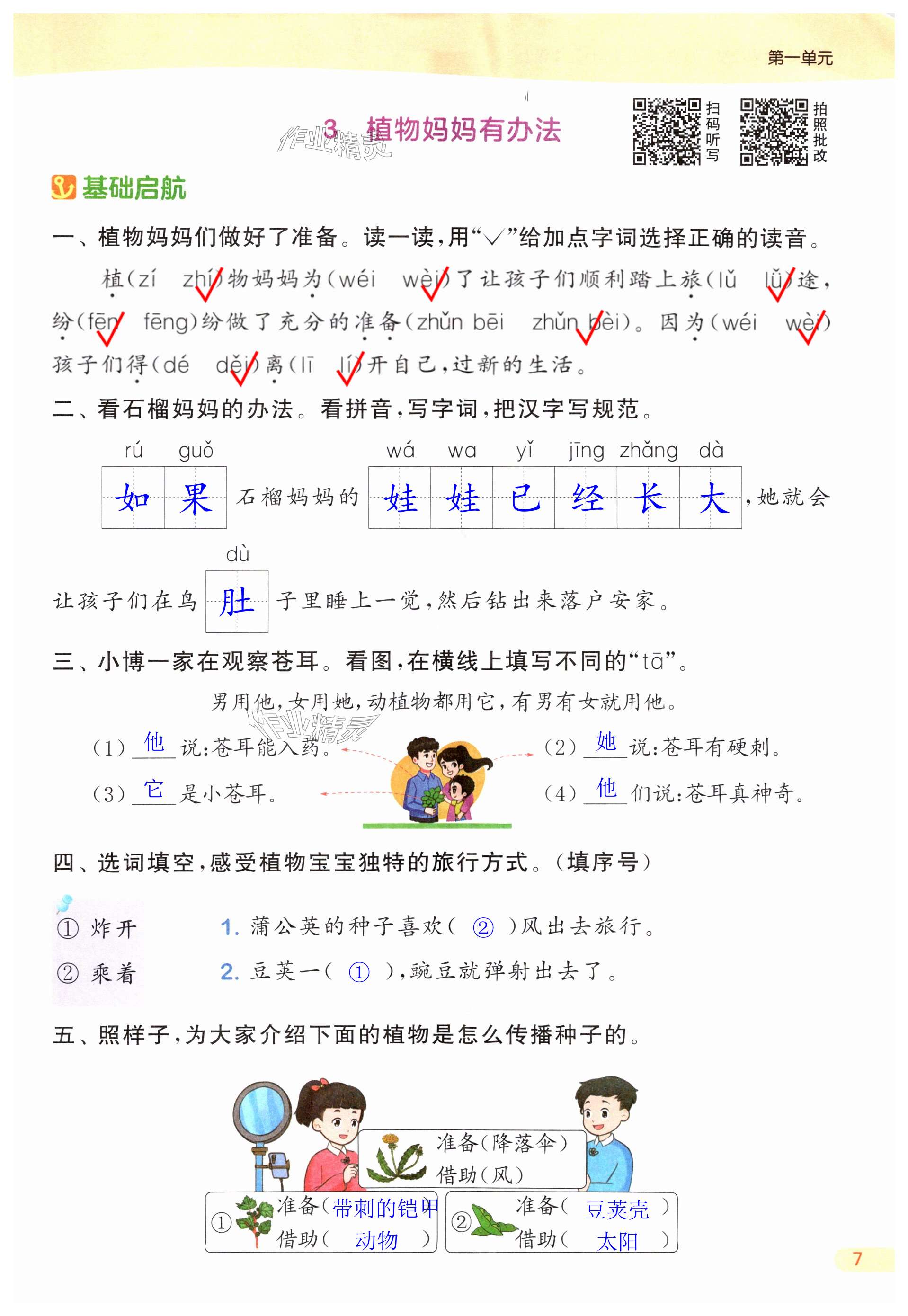 第7页