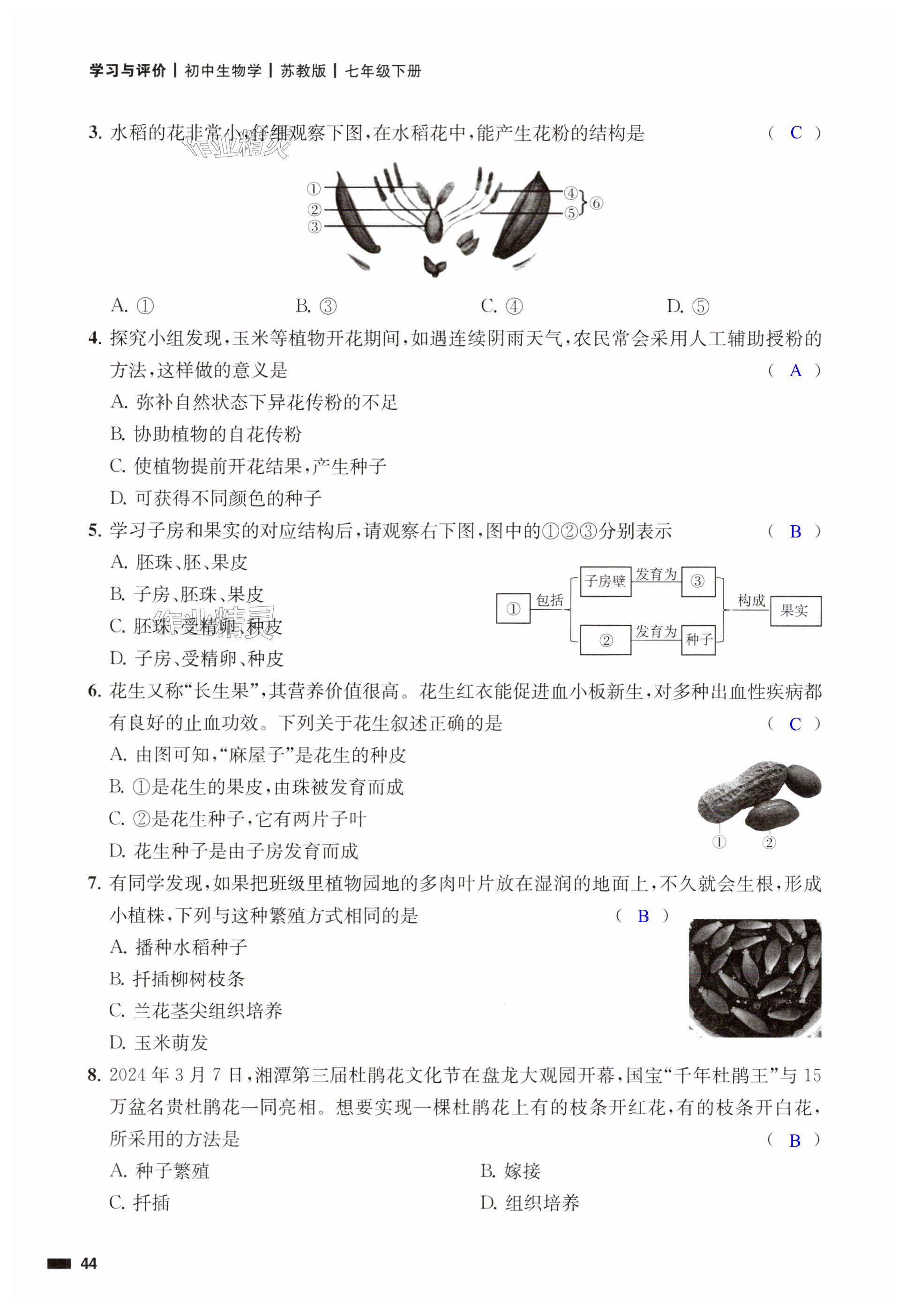 第44页