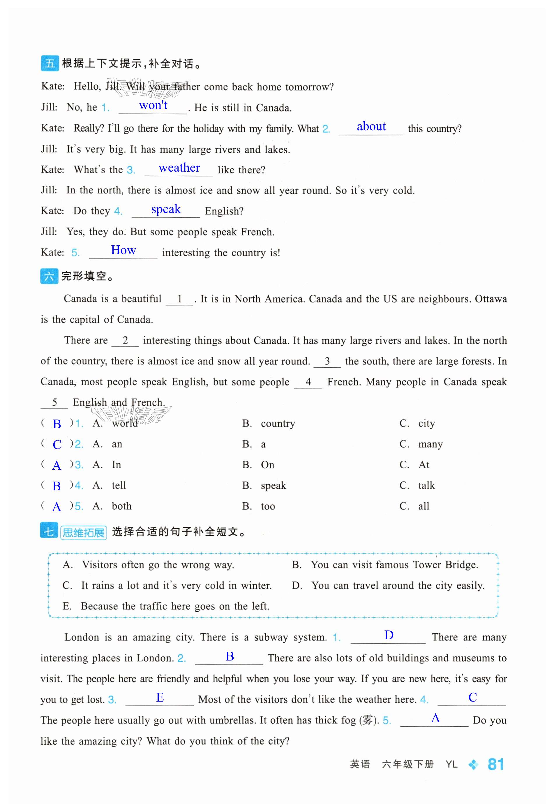 第81页