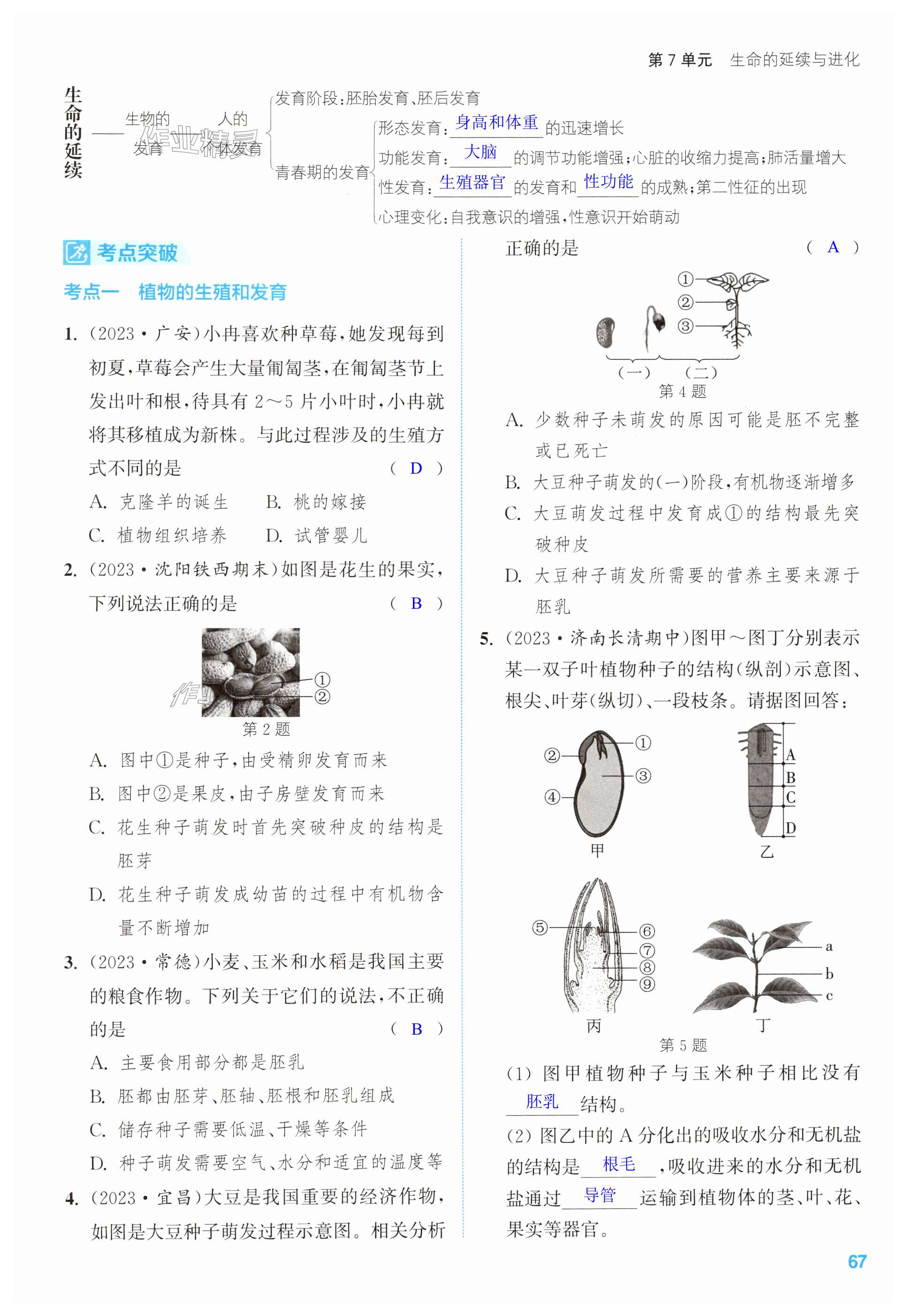 第67页