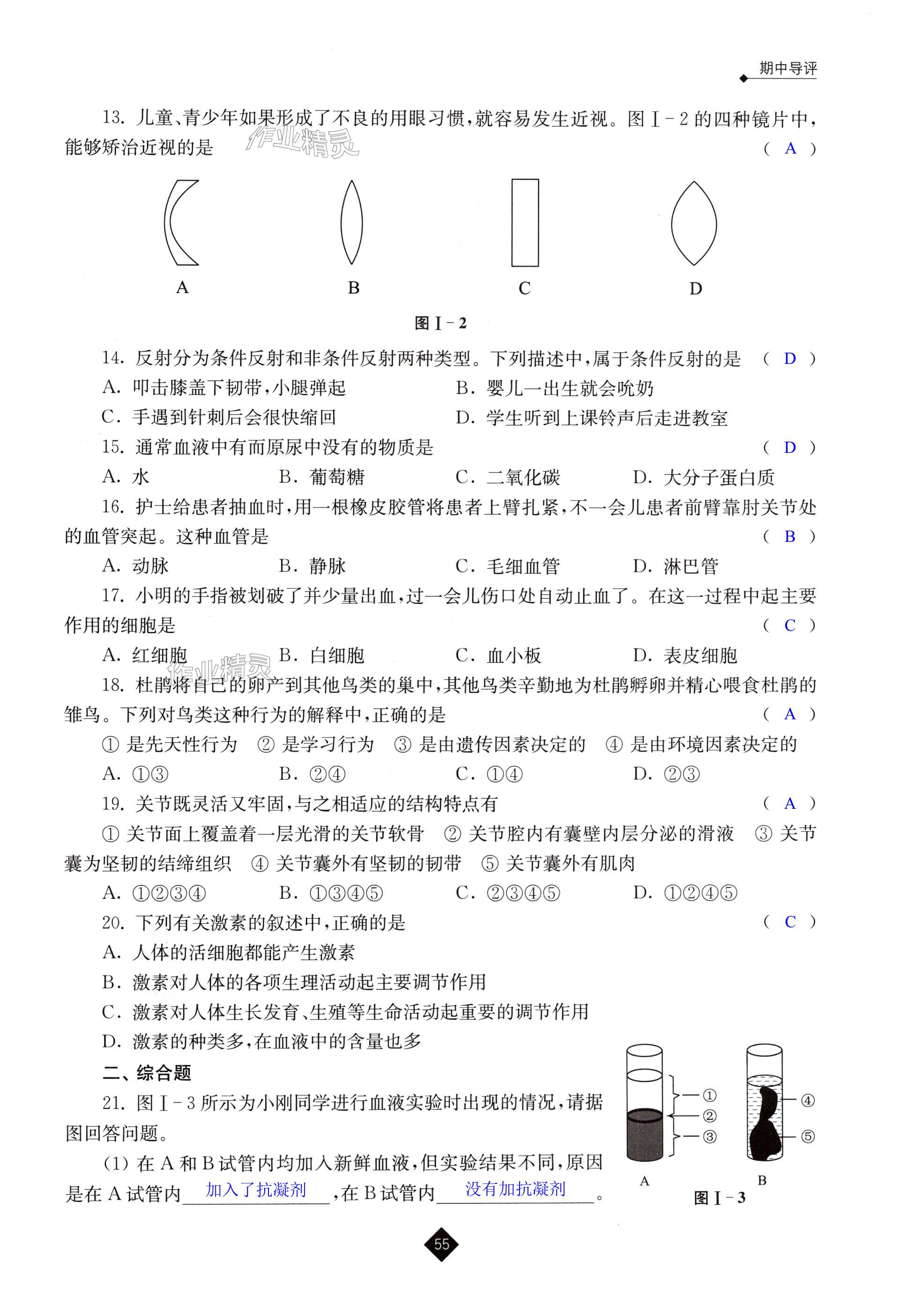 第55页