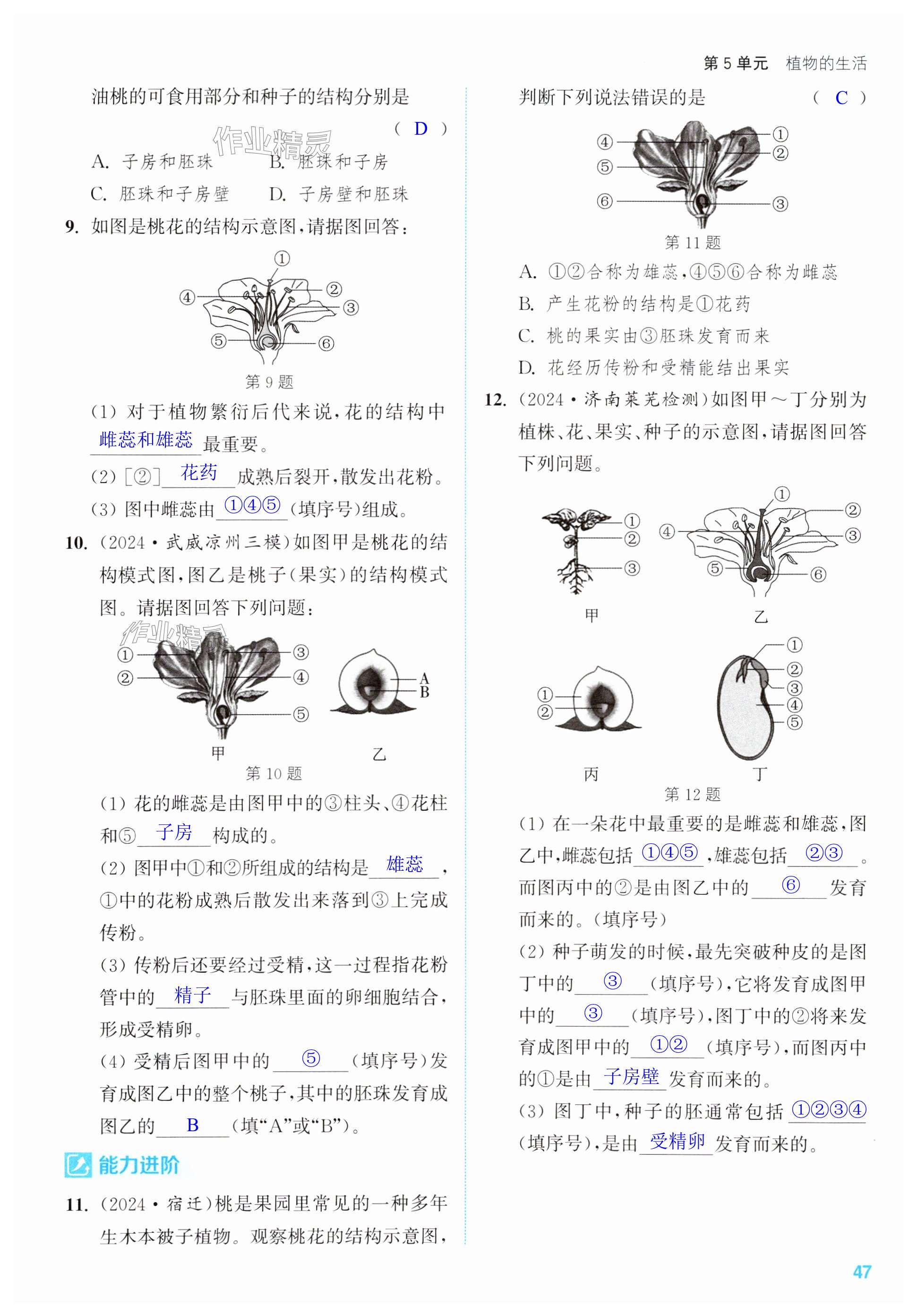 第47页