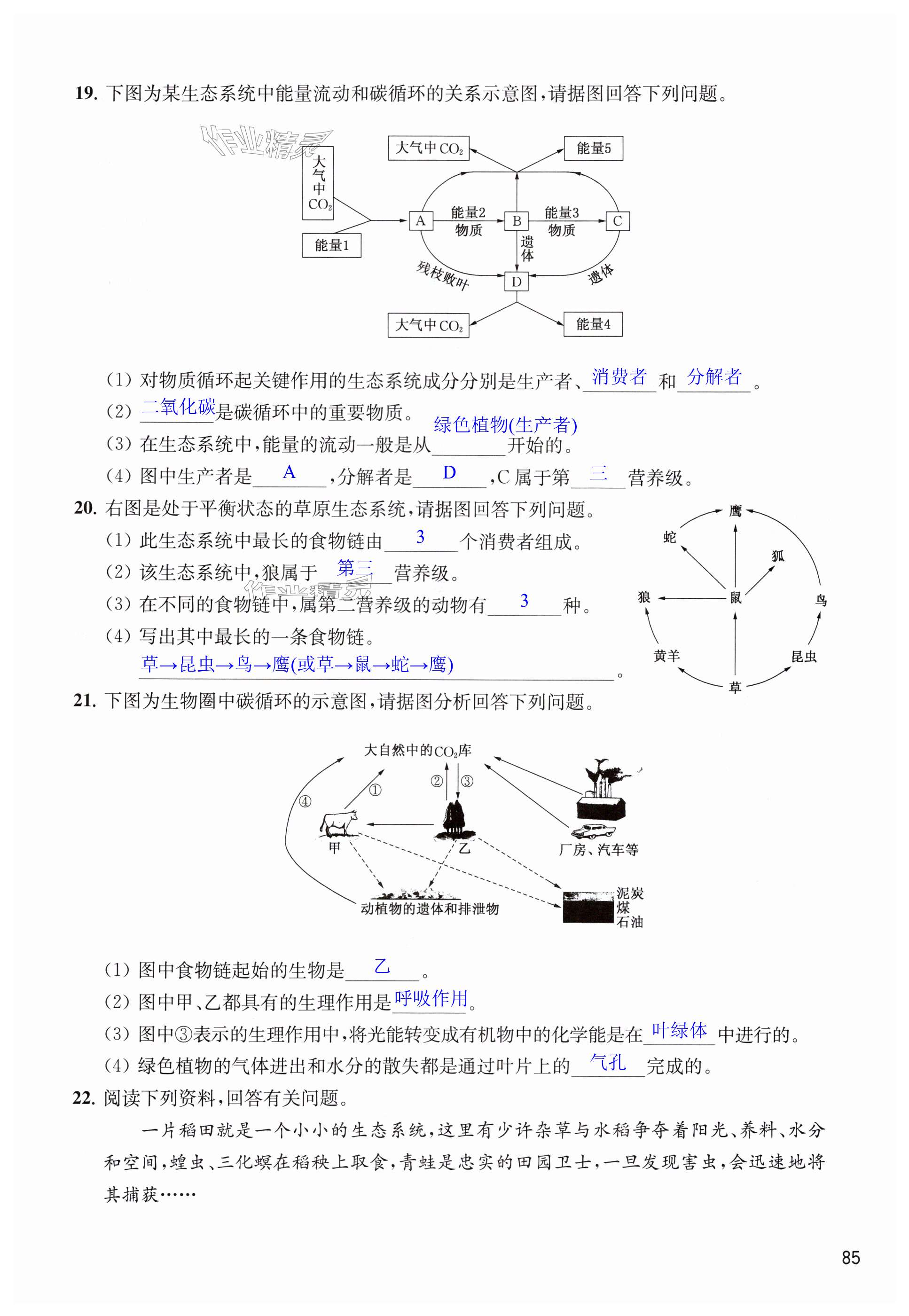 第85页