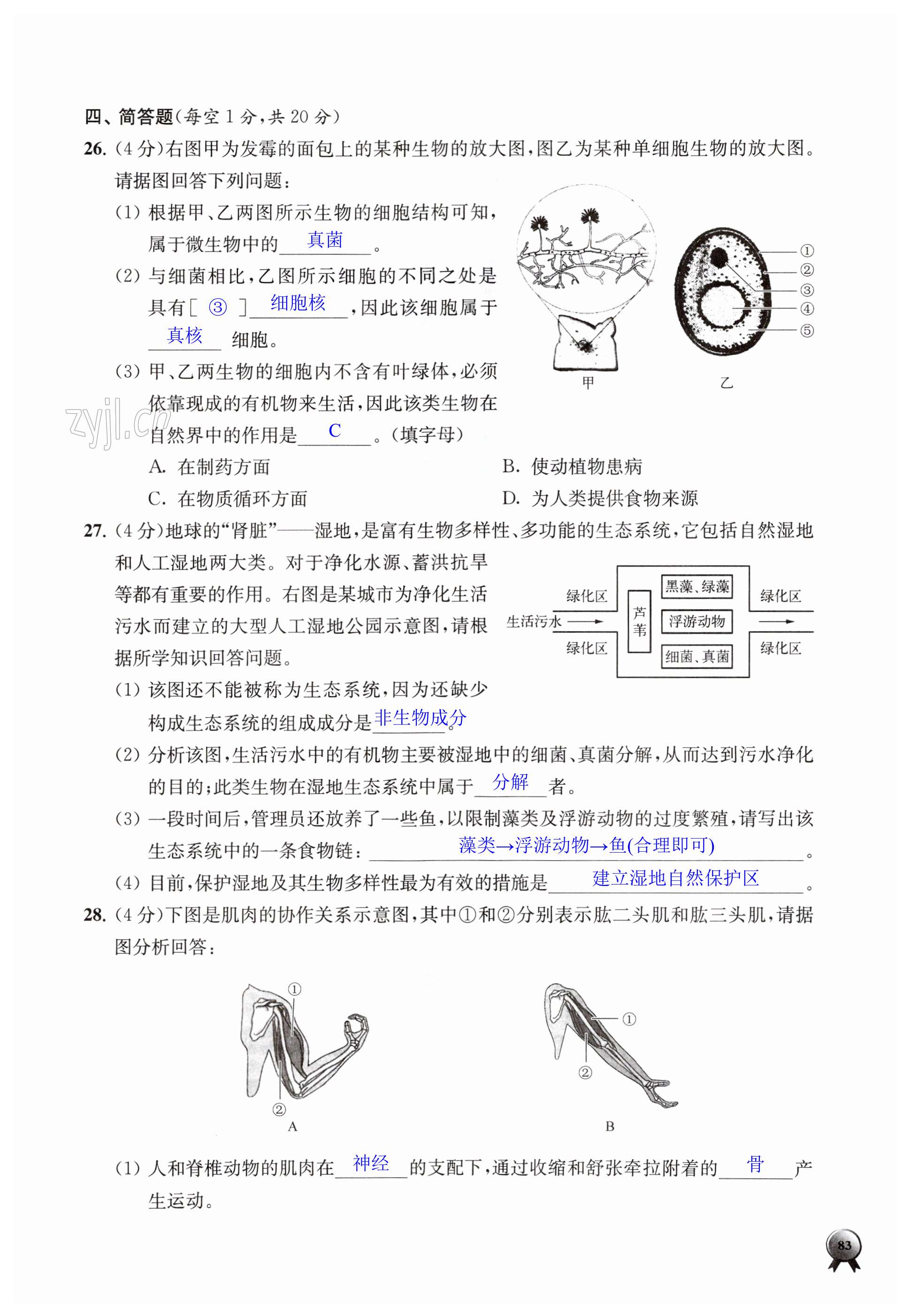 第83页