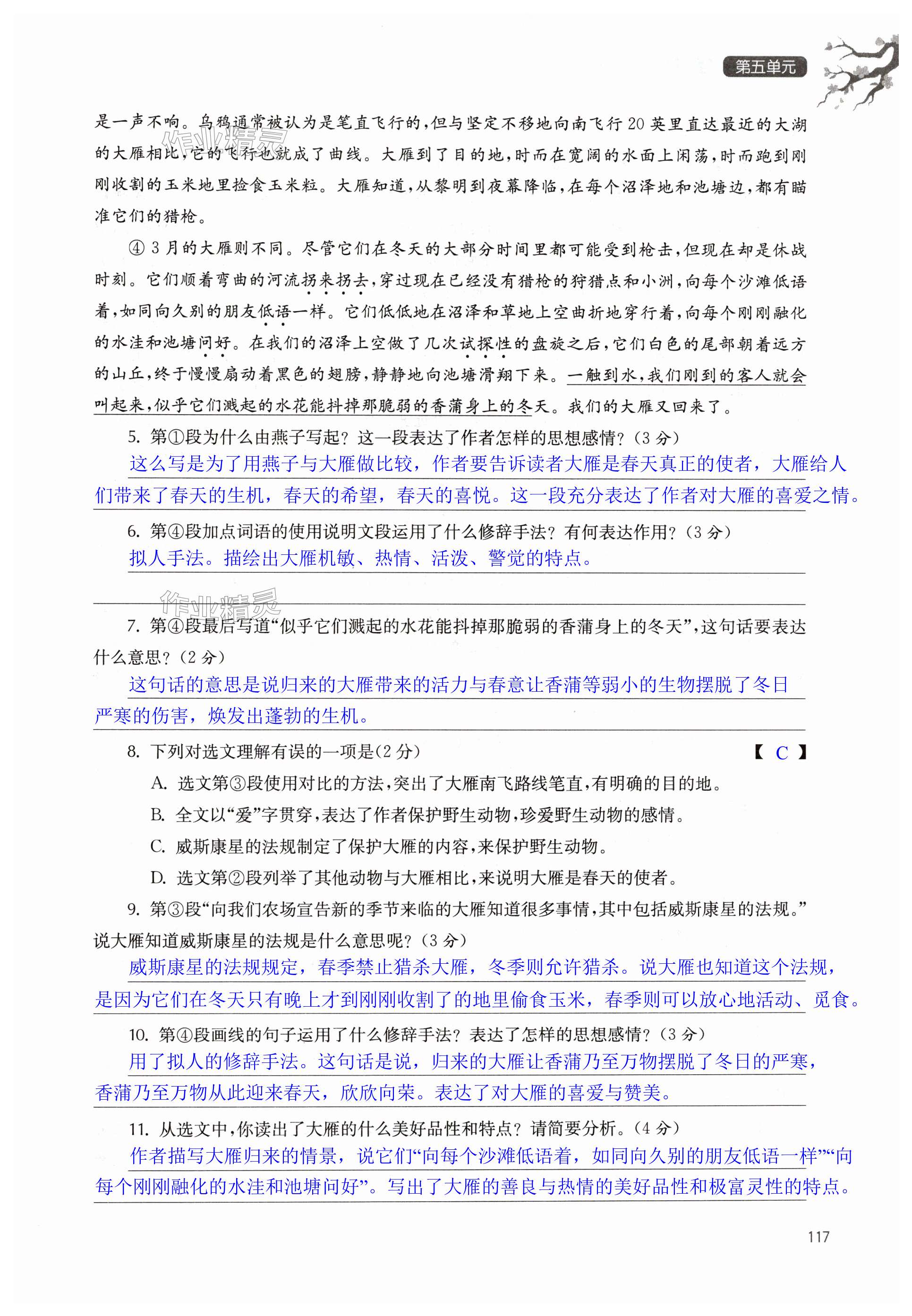 第117页