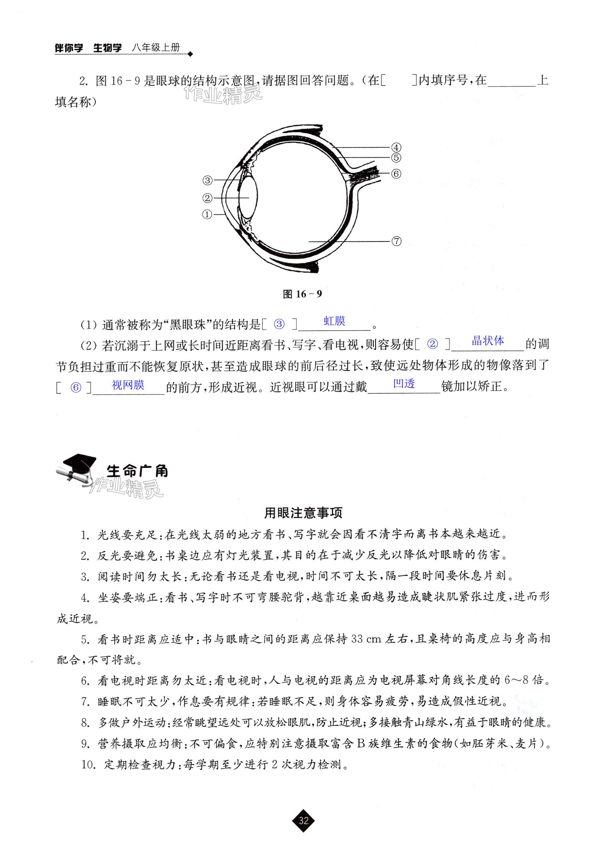 第32页