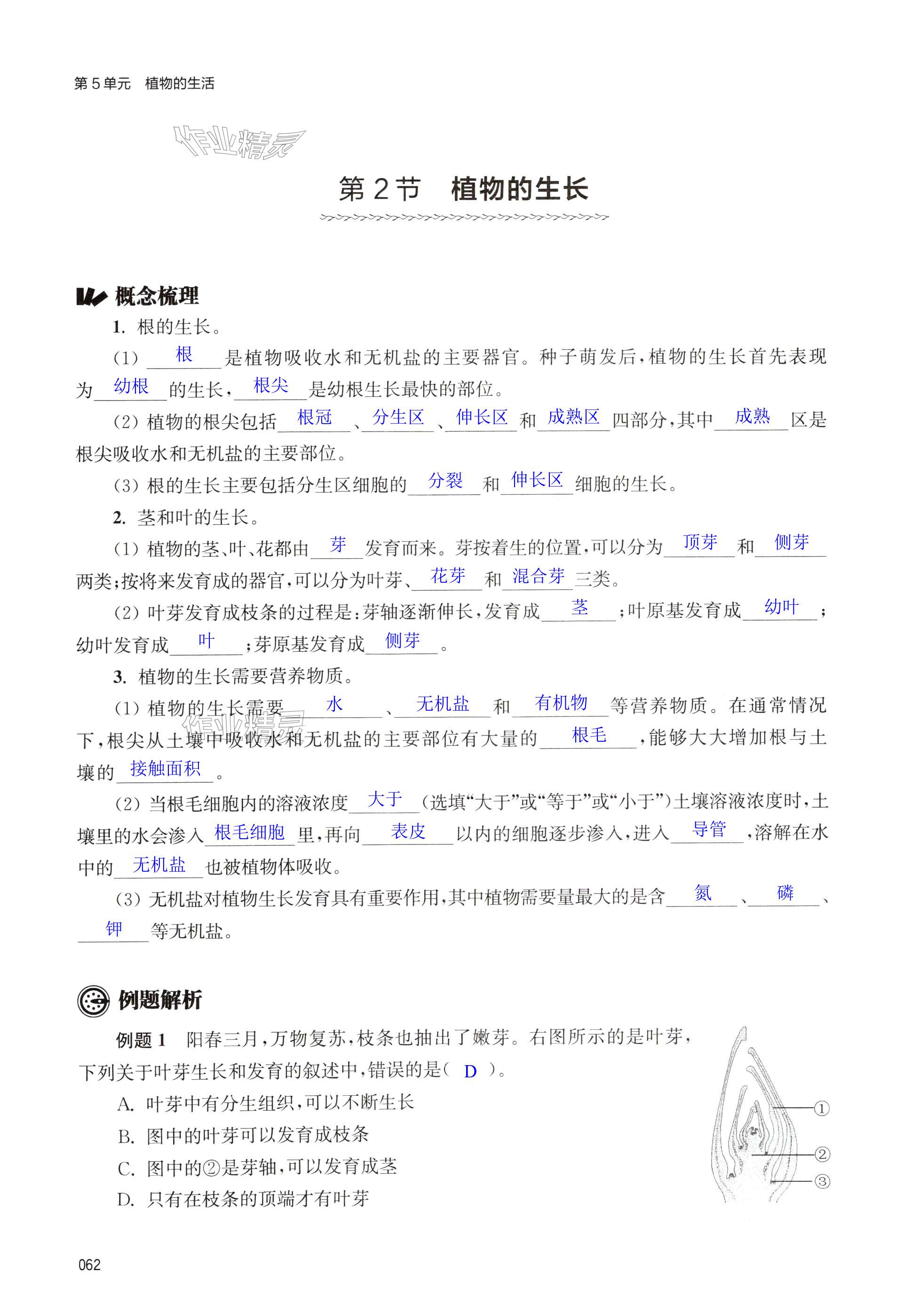 第62页