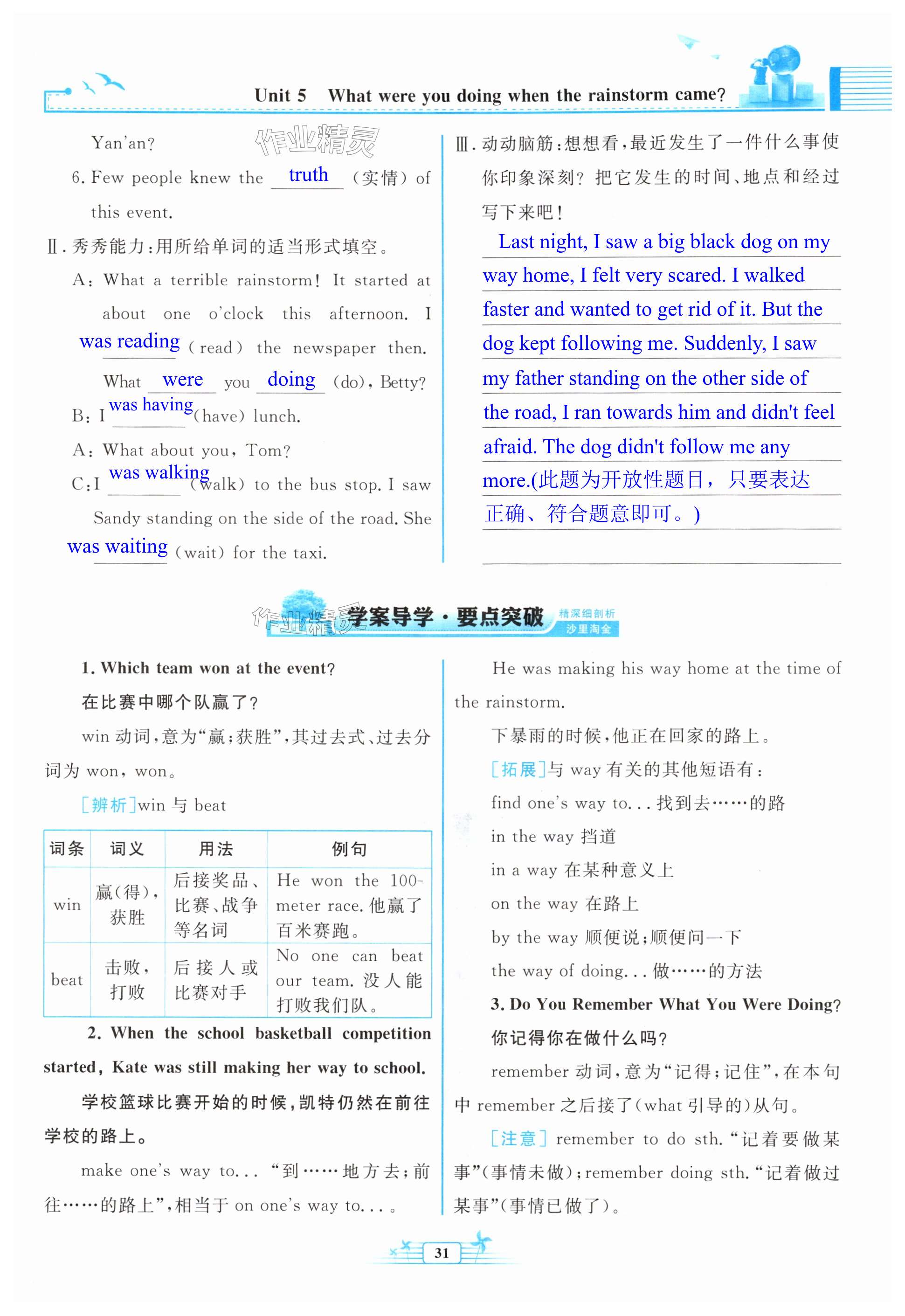第31页
