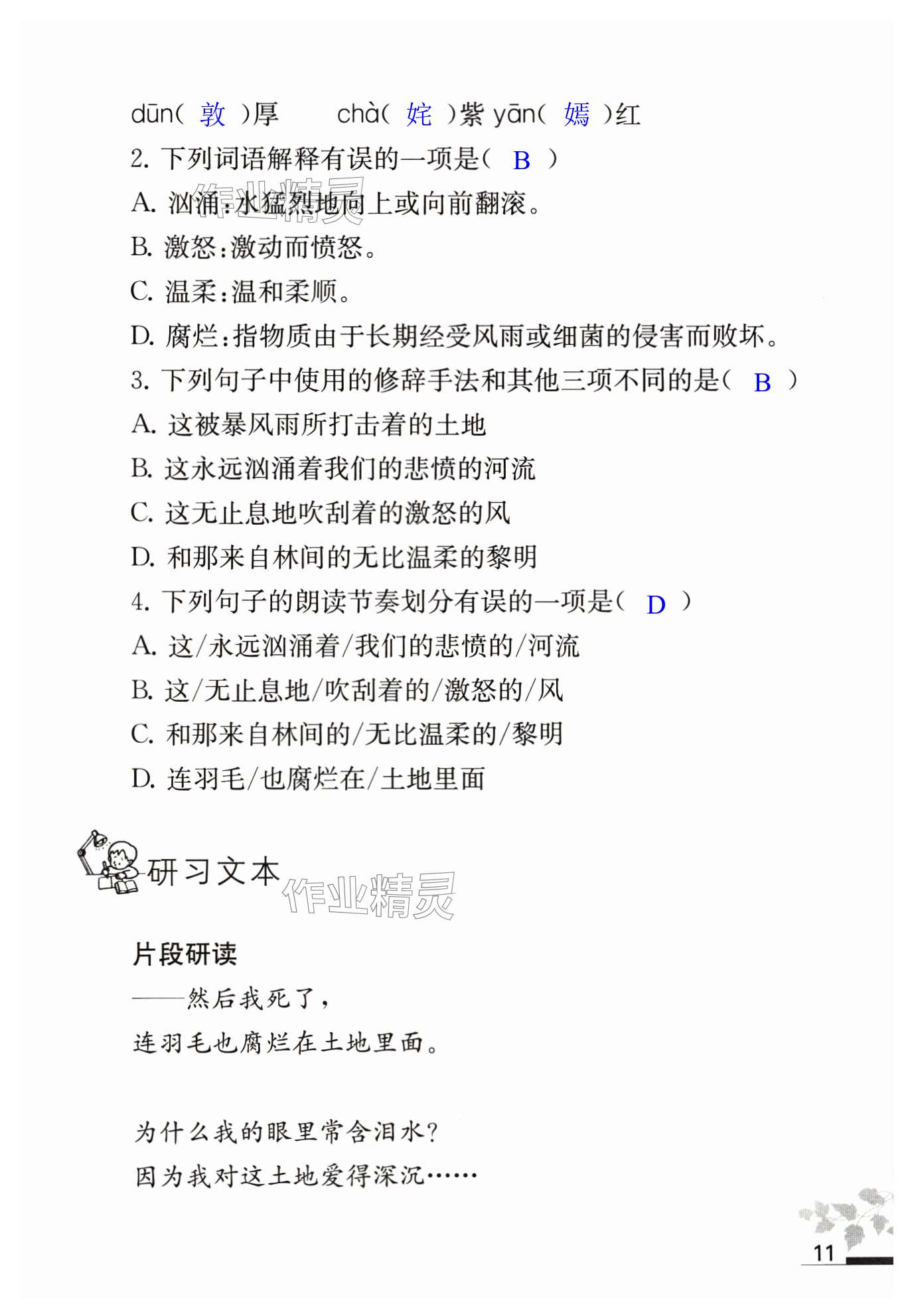 第11页