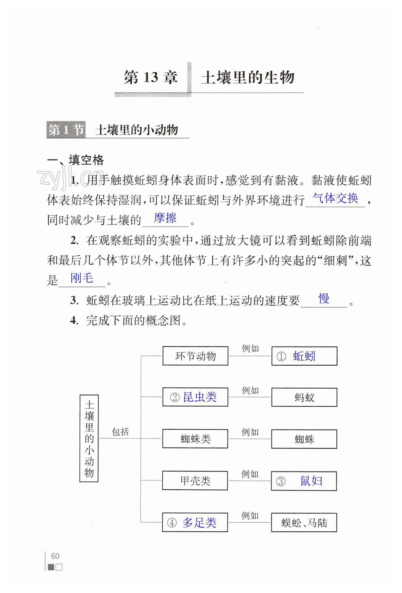 第60页