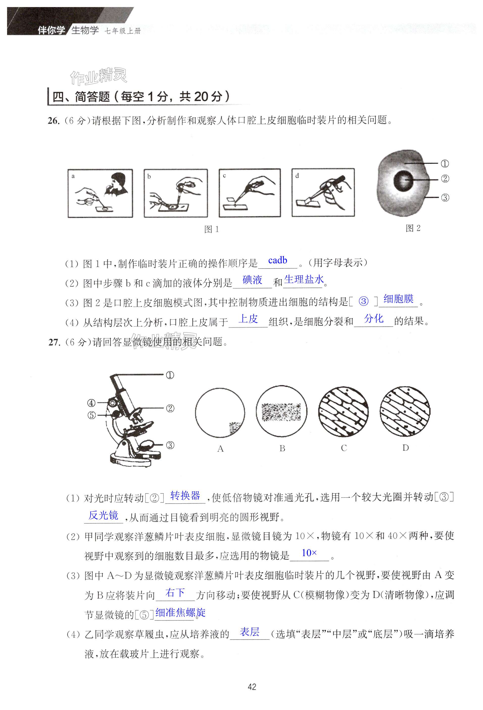 第42页