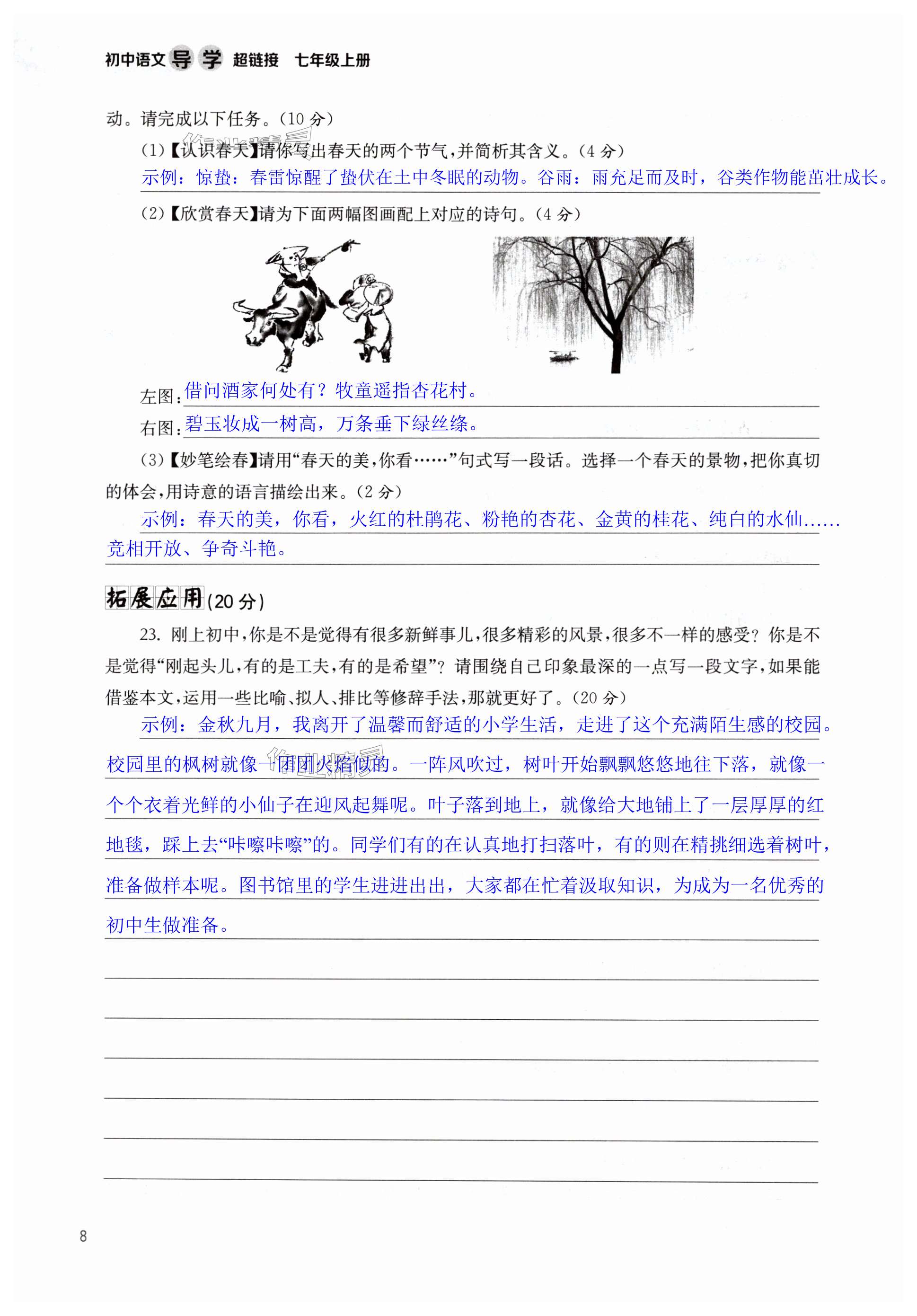 第8页