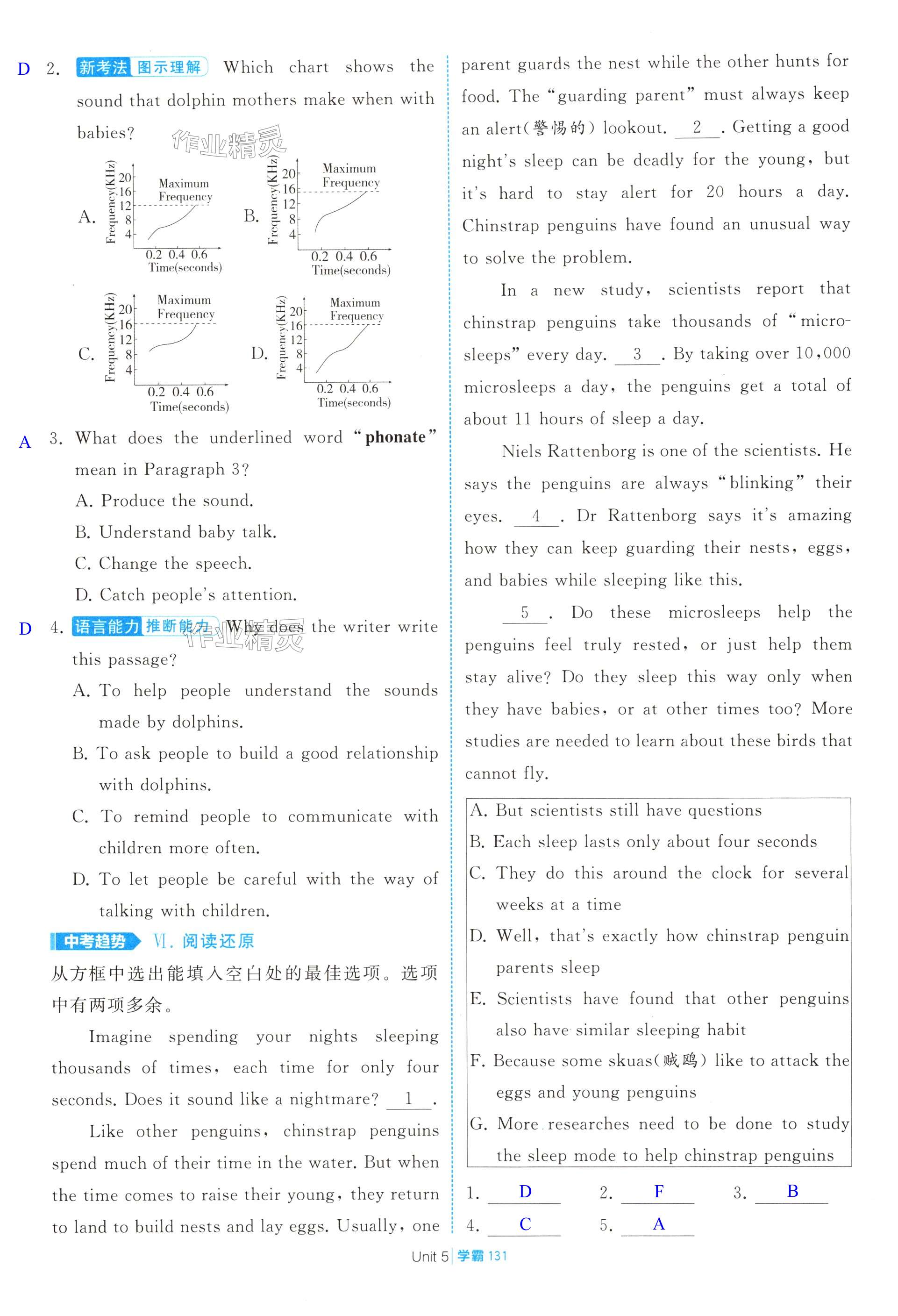 第131页