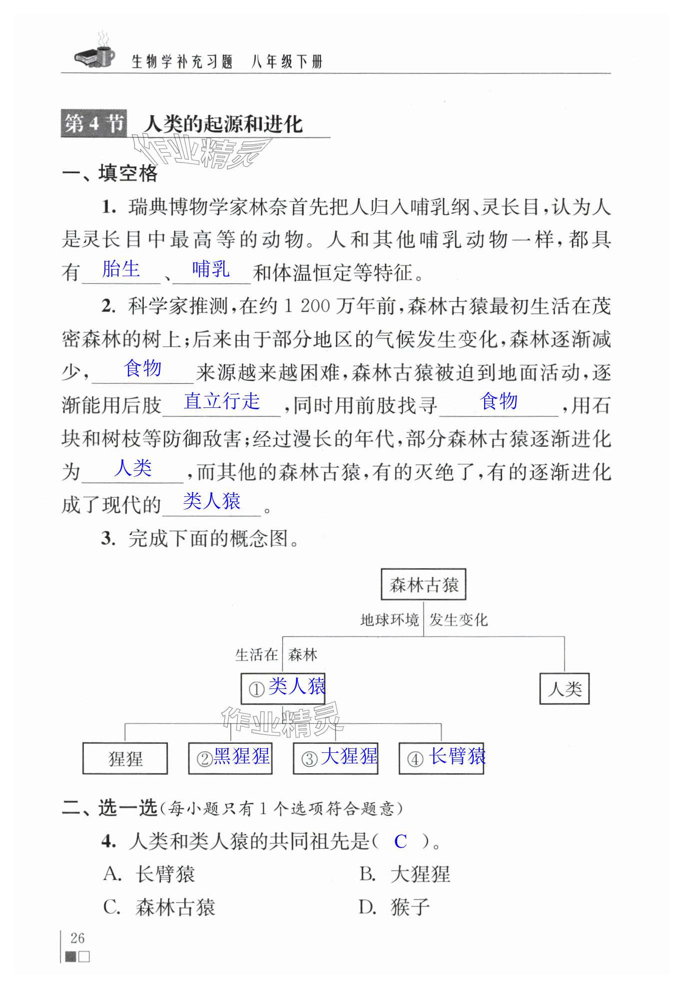 第26页