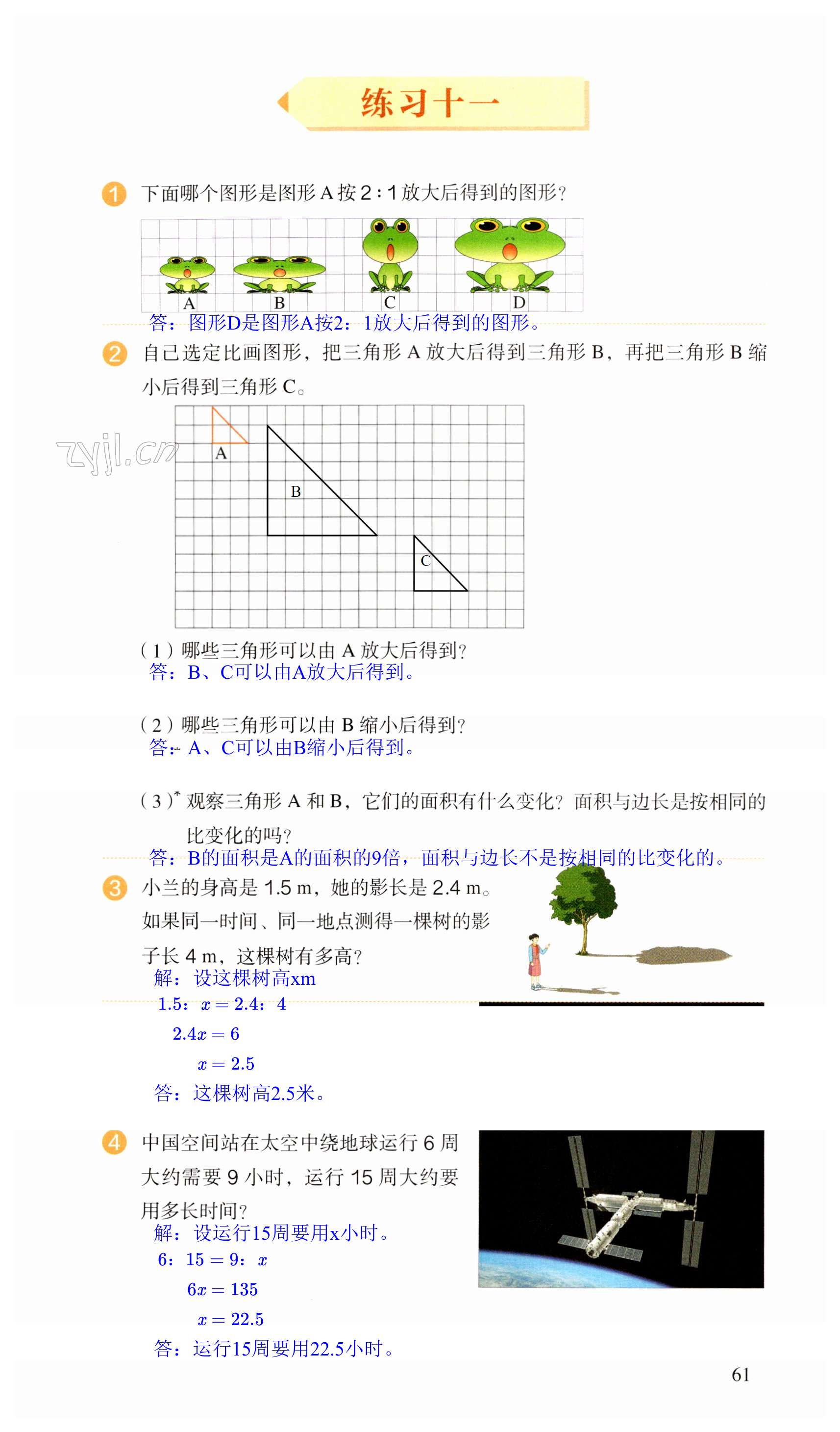 第61页